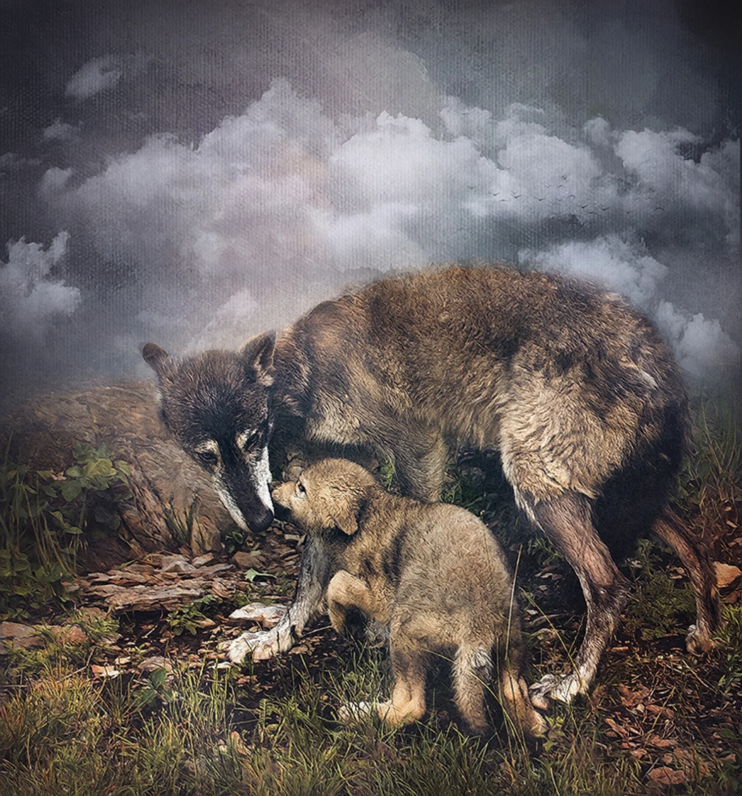 Pup Greeting Adult