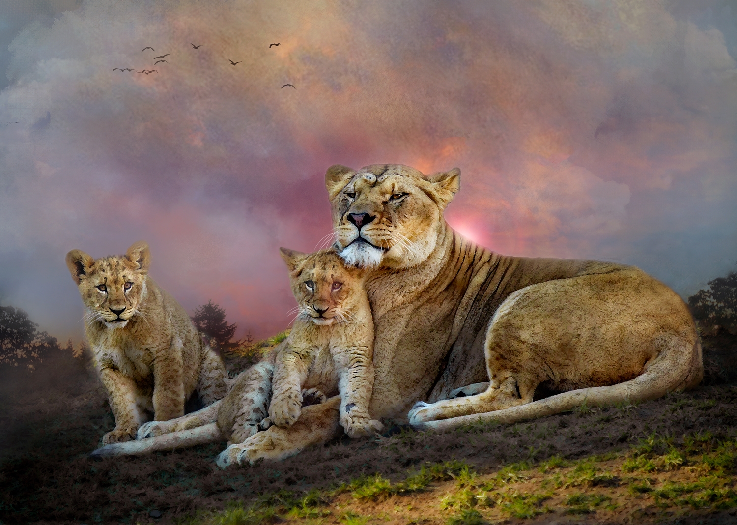 Lioness with Cubs