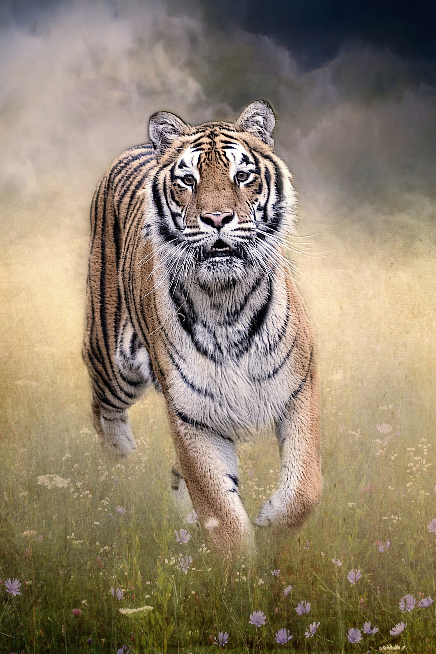 Tiger in a Field of Wildflowers