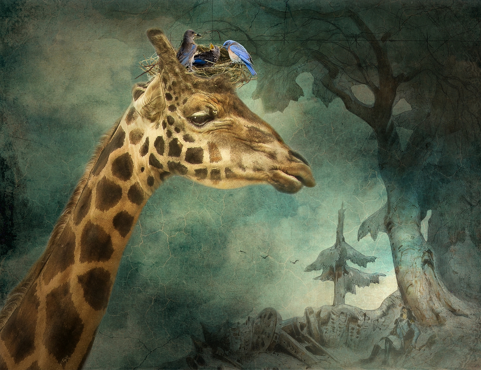 Kind Giraffe, Saving the Bluebirds
