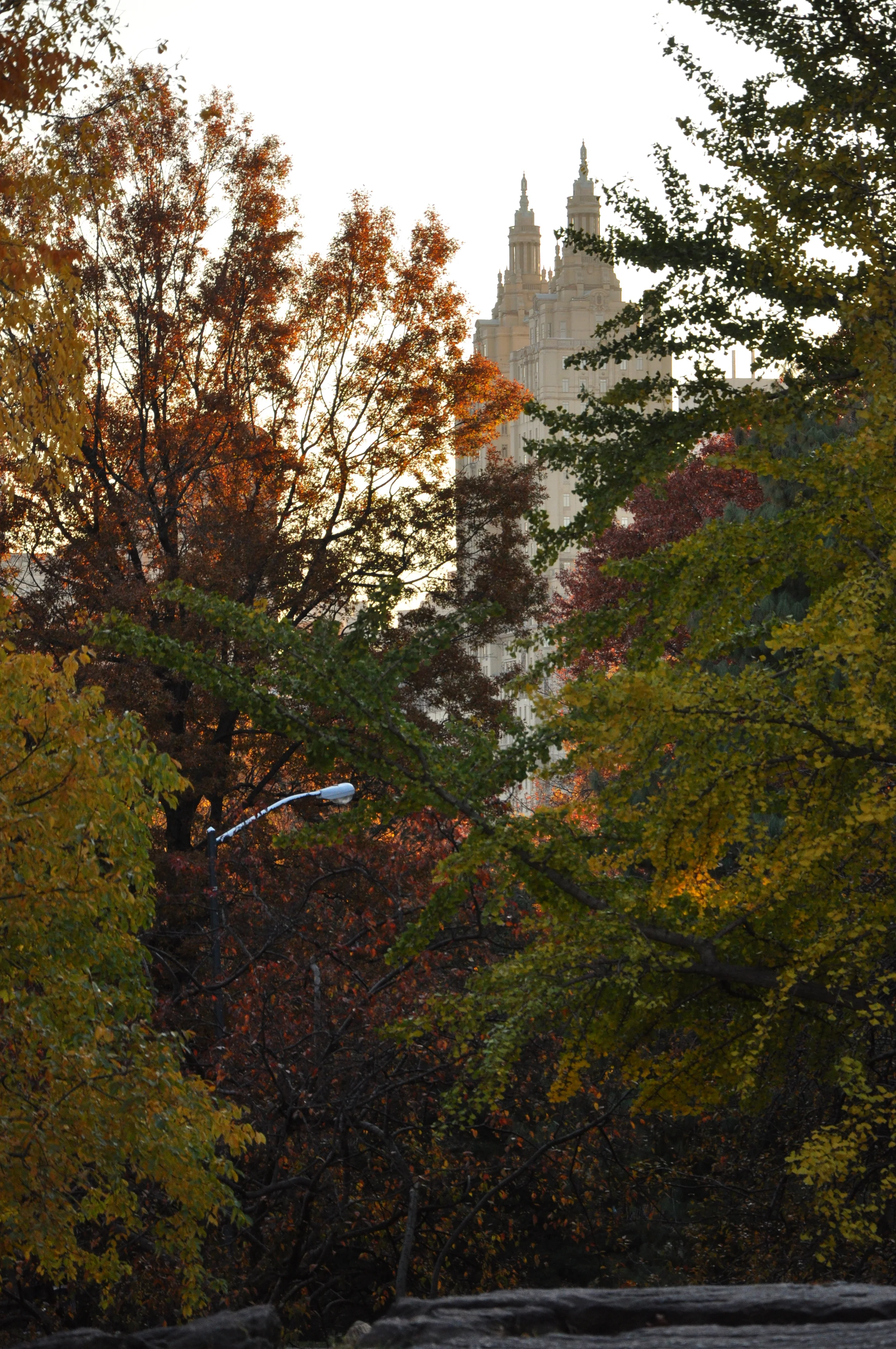 towers-and-trees_8381262344_o.jpg