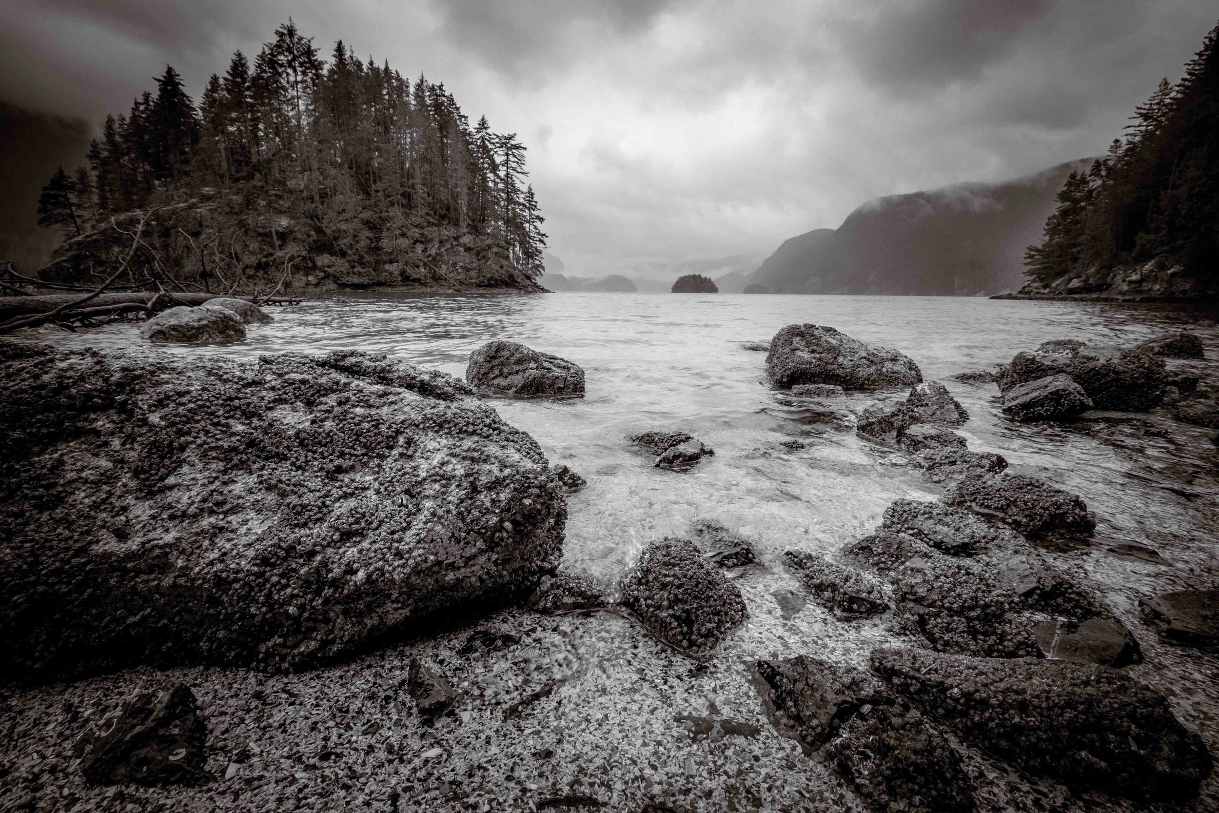 On the rocky shores
