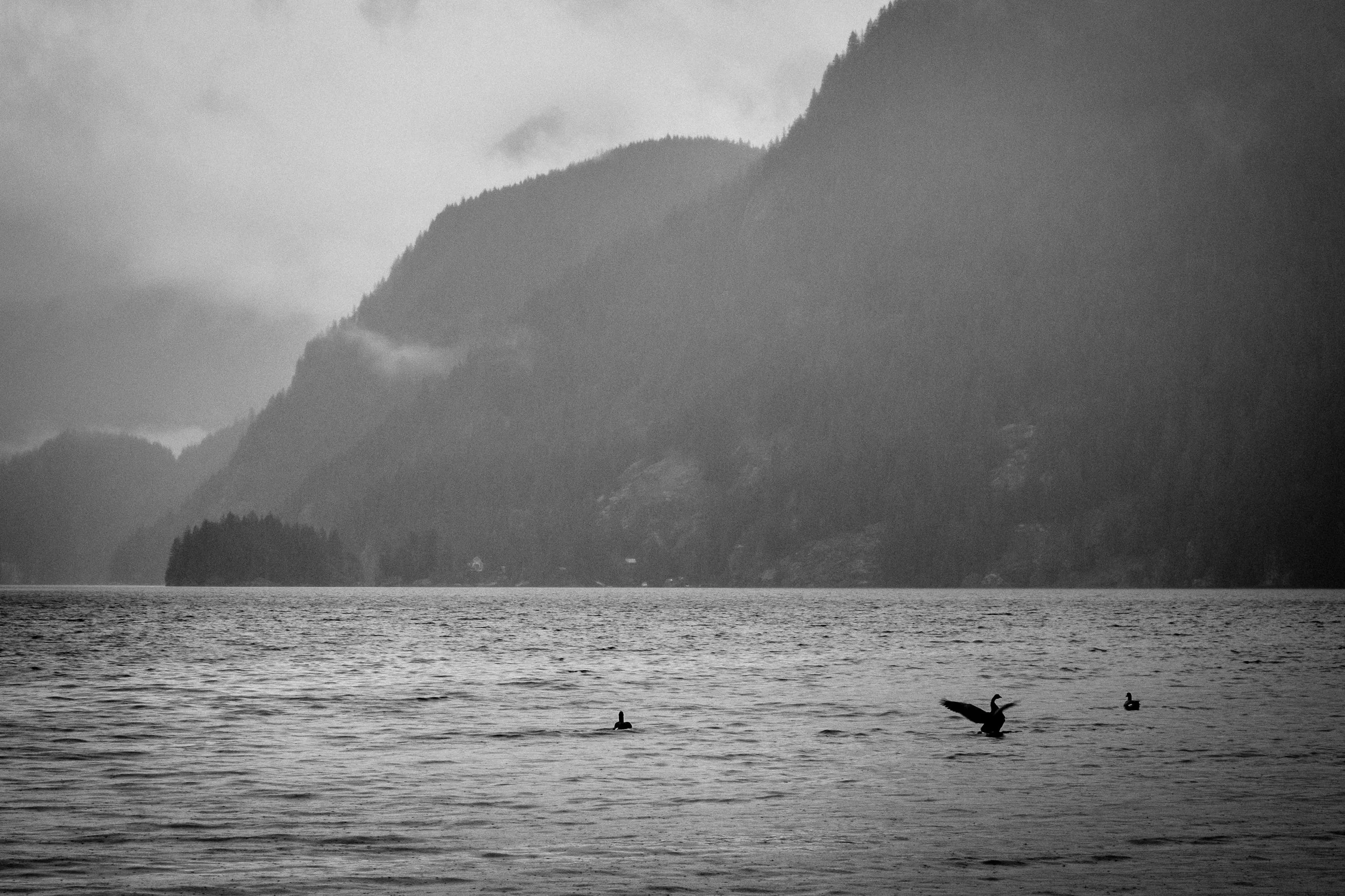 Vancouver-9939.jpg