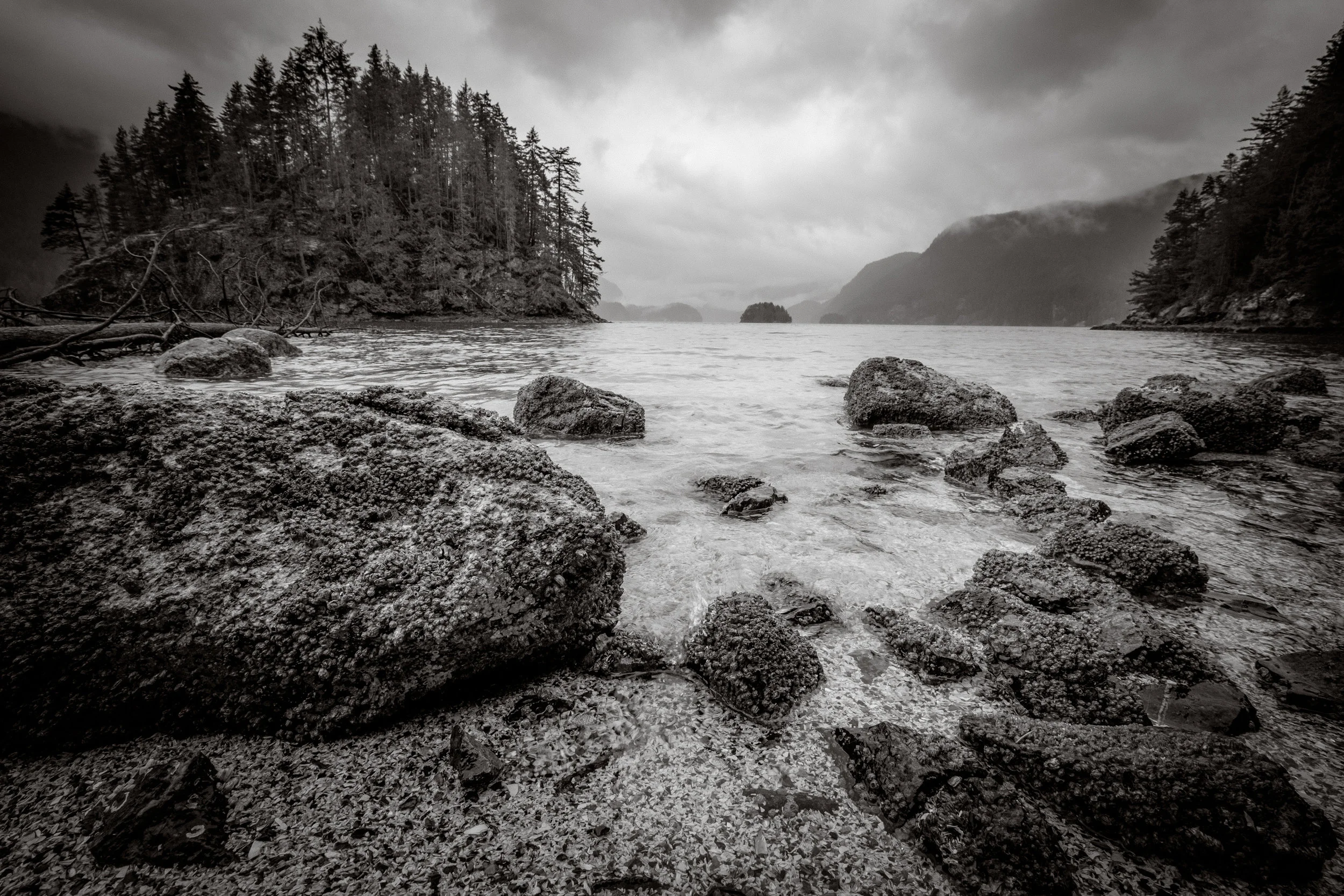 Vancouver-9950-2.jpg
