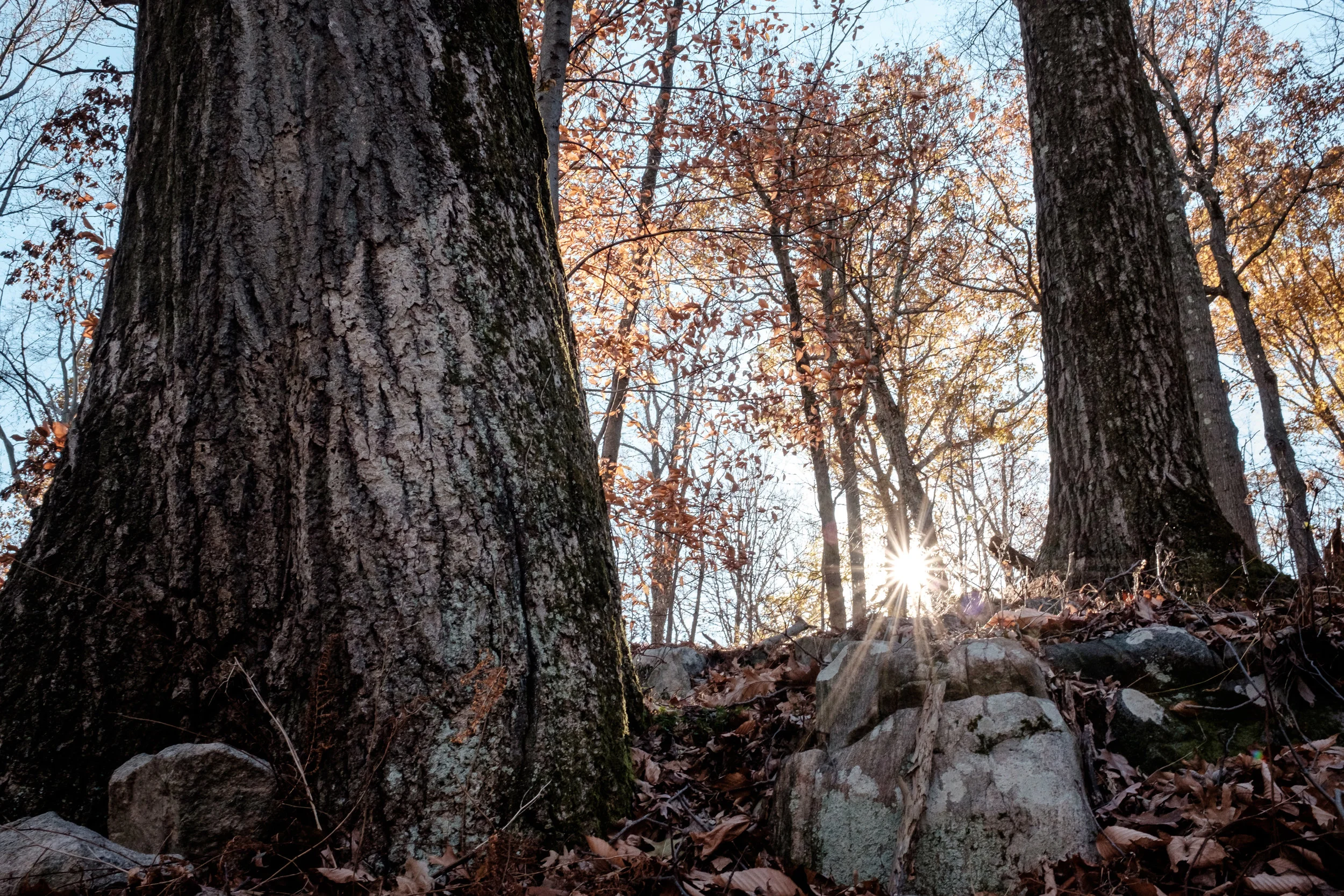 Thanksgiving-20171124-4825.jpg