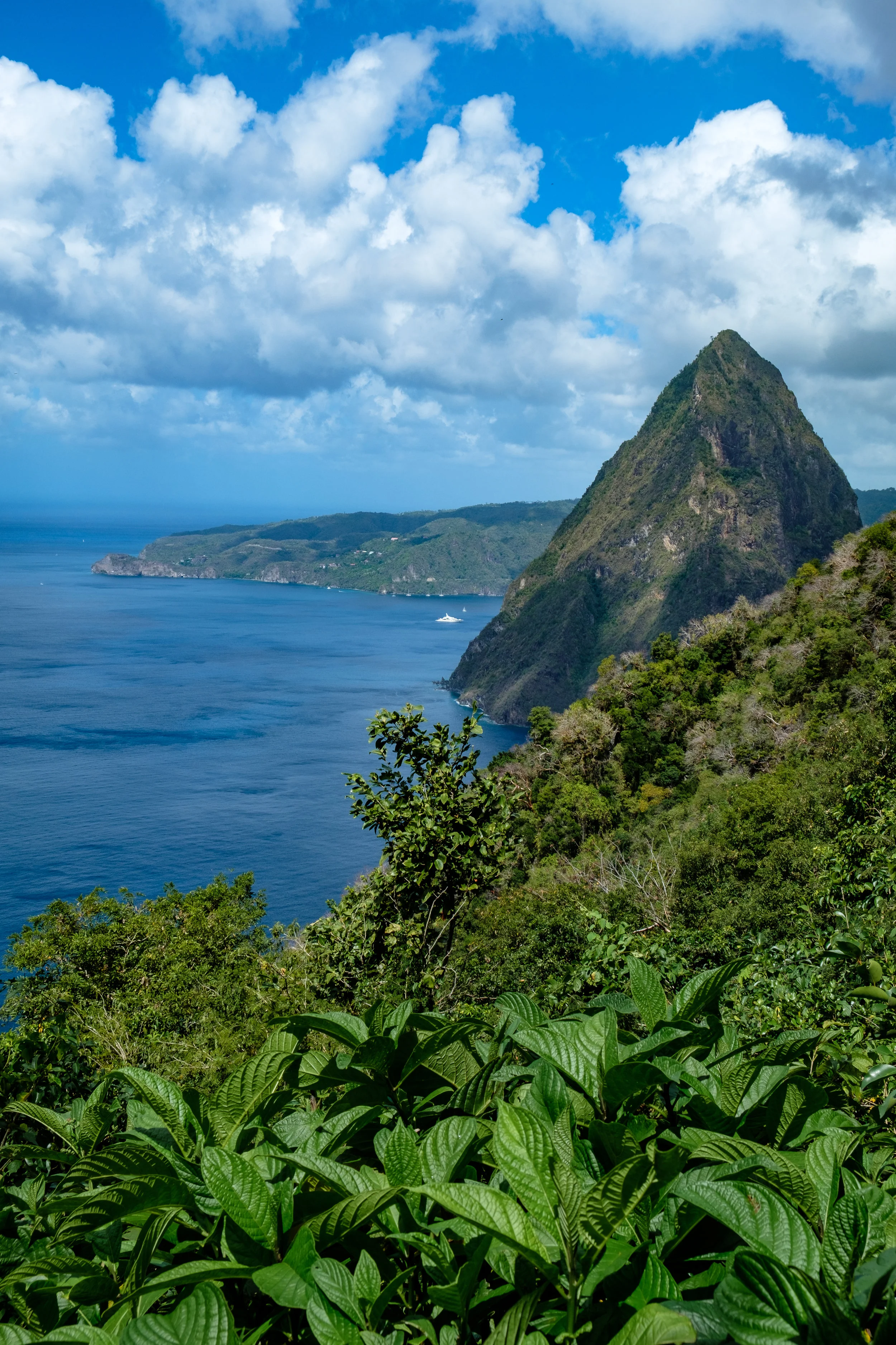 stlucia-20180214-4385.jpg