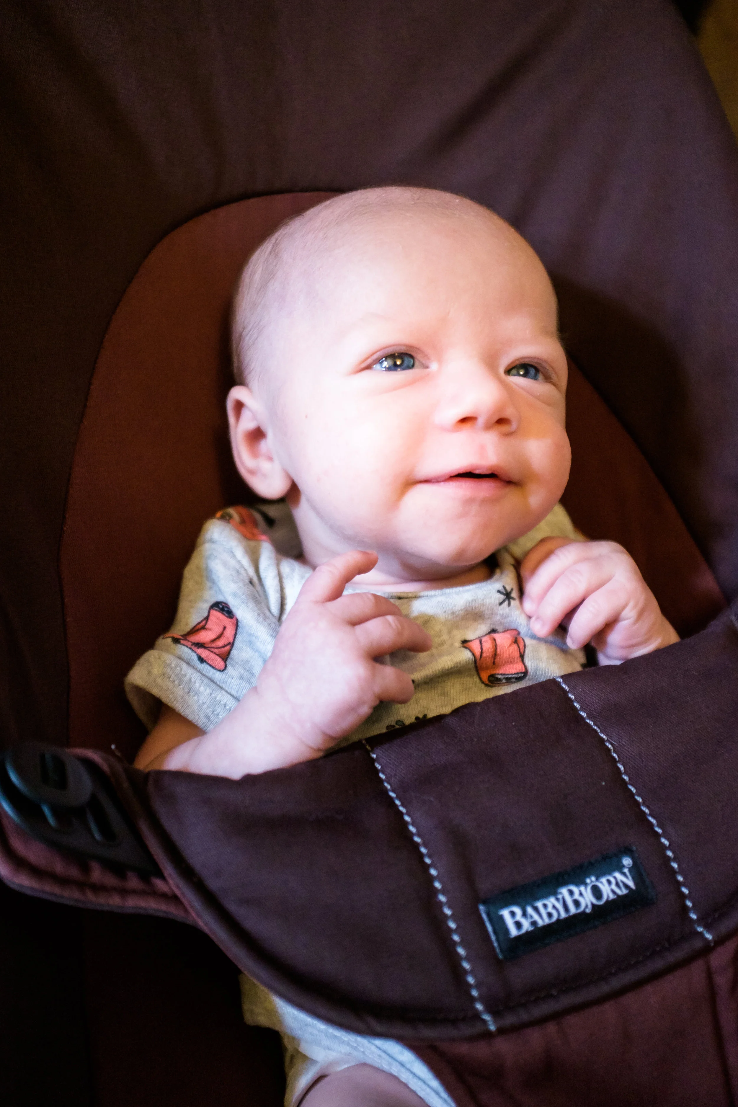 Bouncer-20180526-5425.jpg