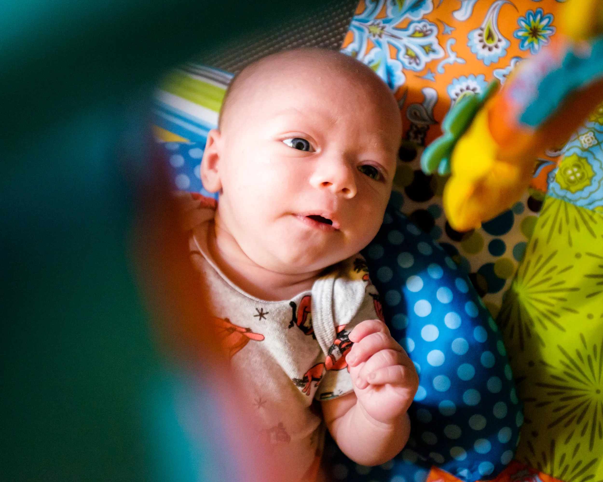 Bouncer-20180526-5444.jpg