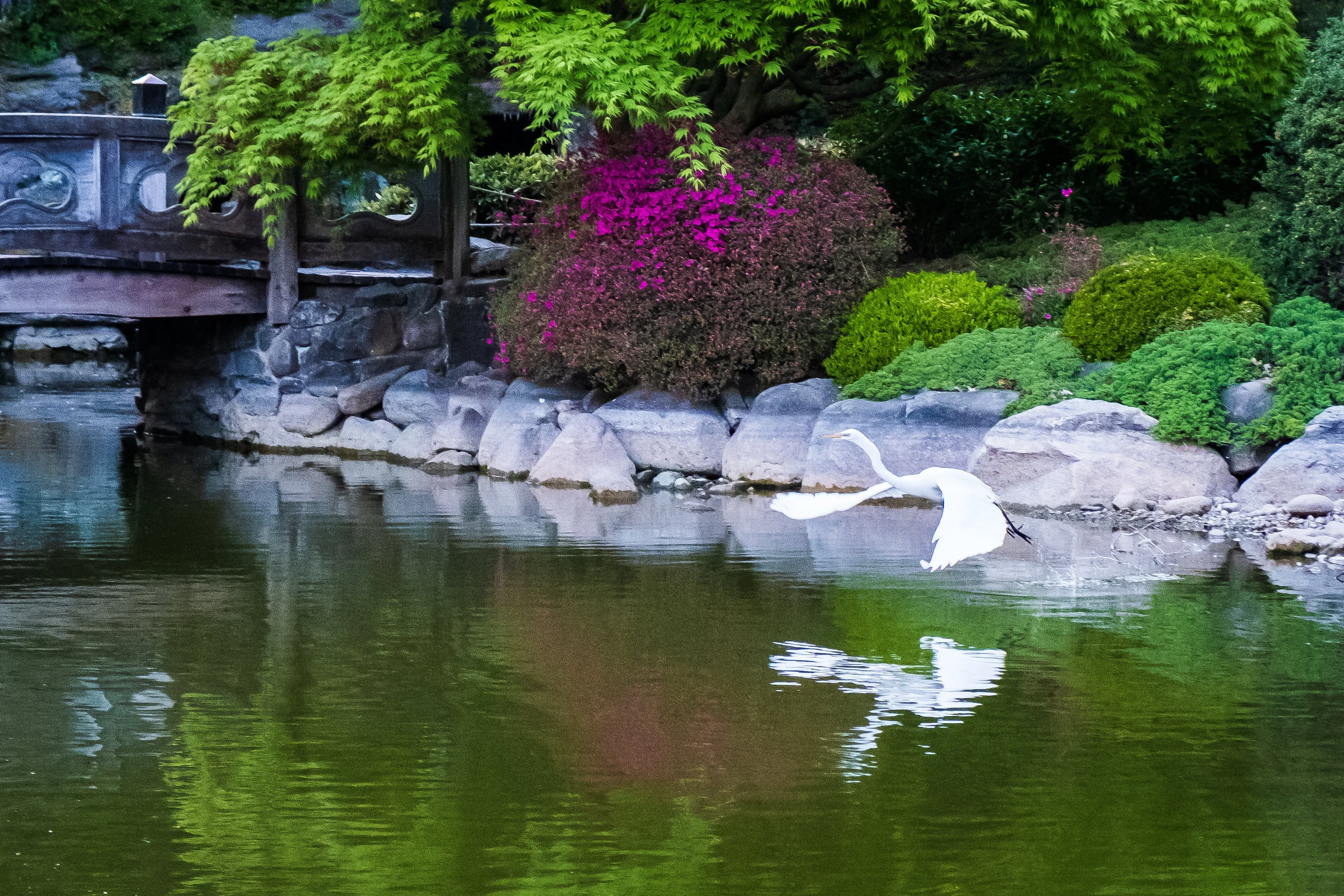 BBGMay-20180508-5124.jpg