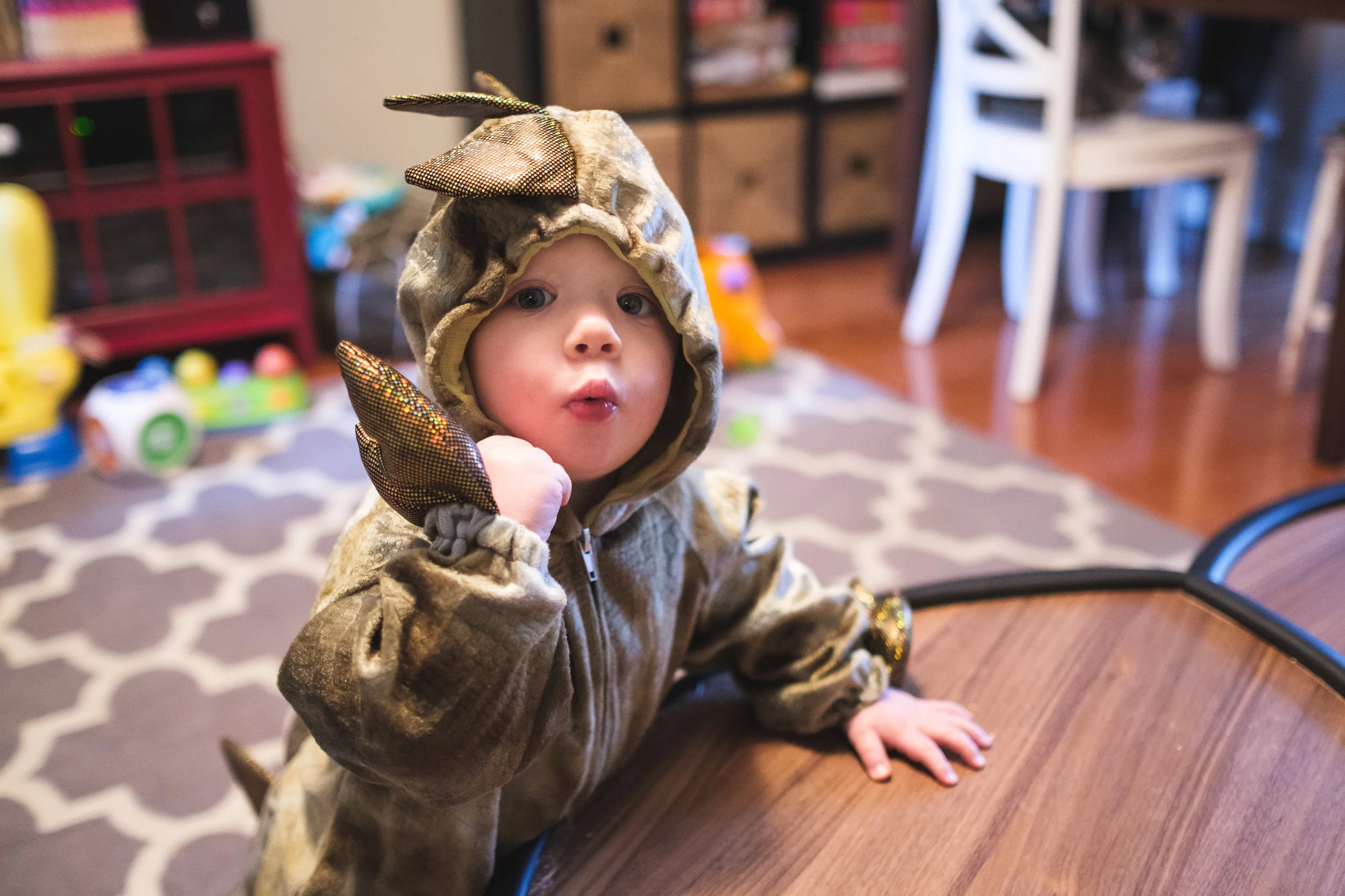 finalize_purim-20190324-9777.jpg