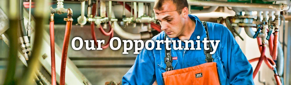 Our Opportunity