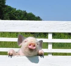 This guy illustrates an article on farm fencing in Mother Earth News, but seems to work here too... 