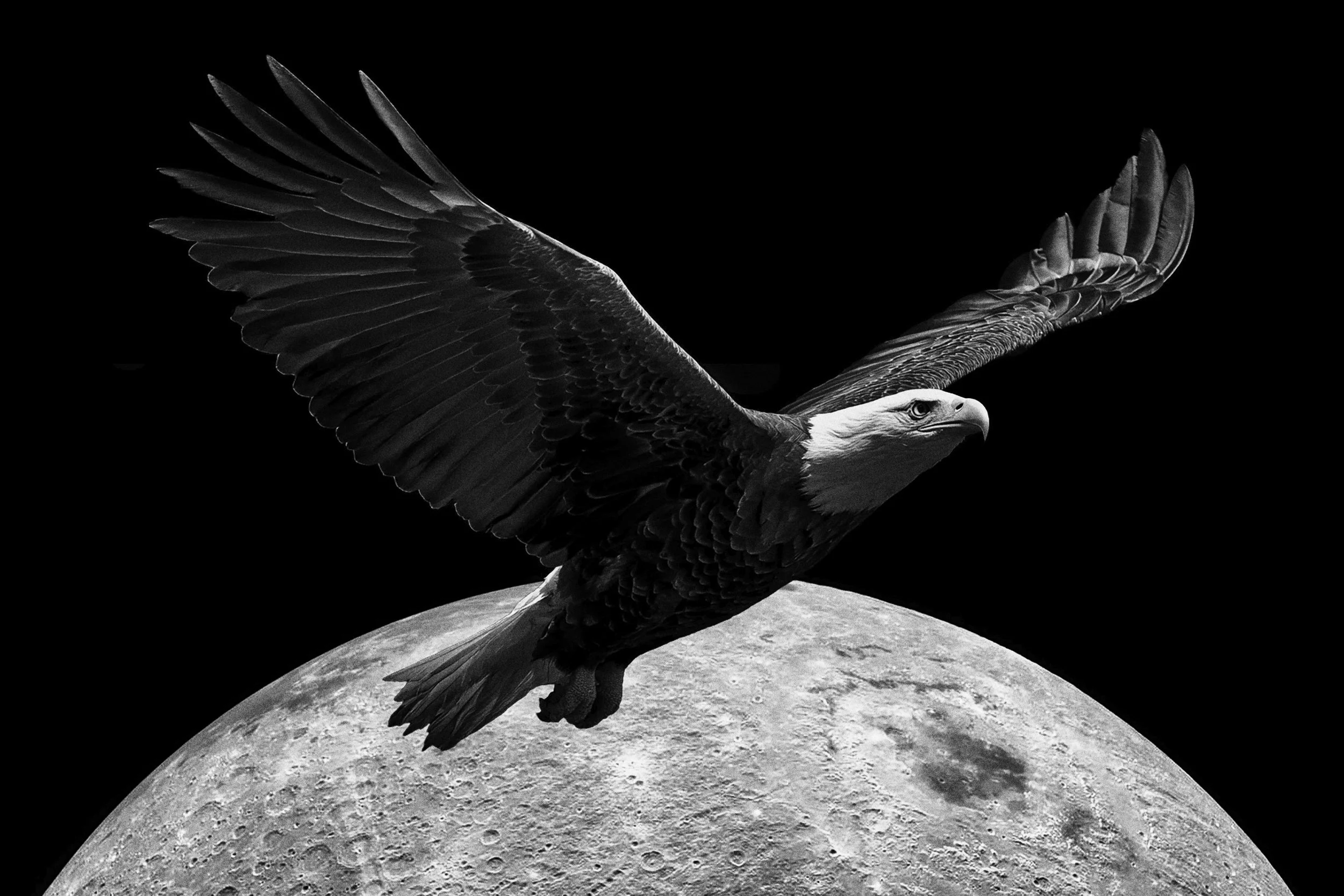 Moon is ours_2.jpeg