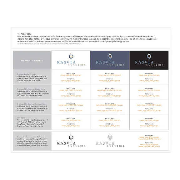 Rasvia Systems Brand Identity