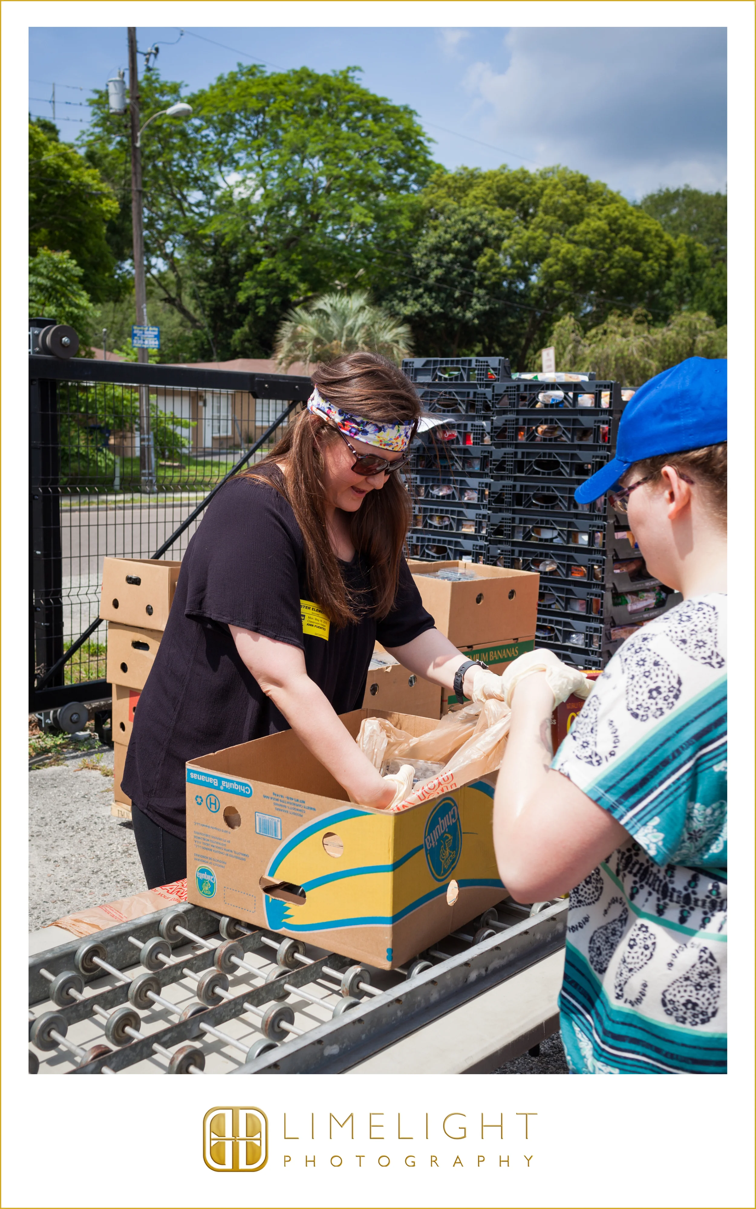 5.16.16FeedingTampaBayAL_0002.JPG
