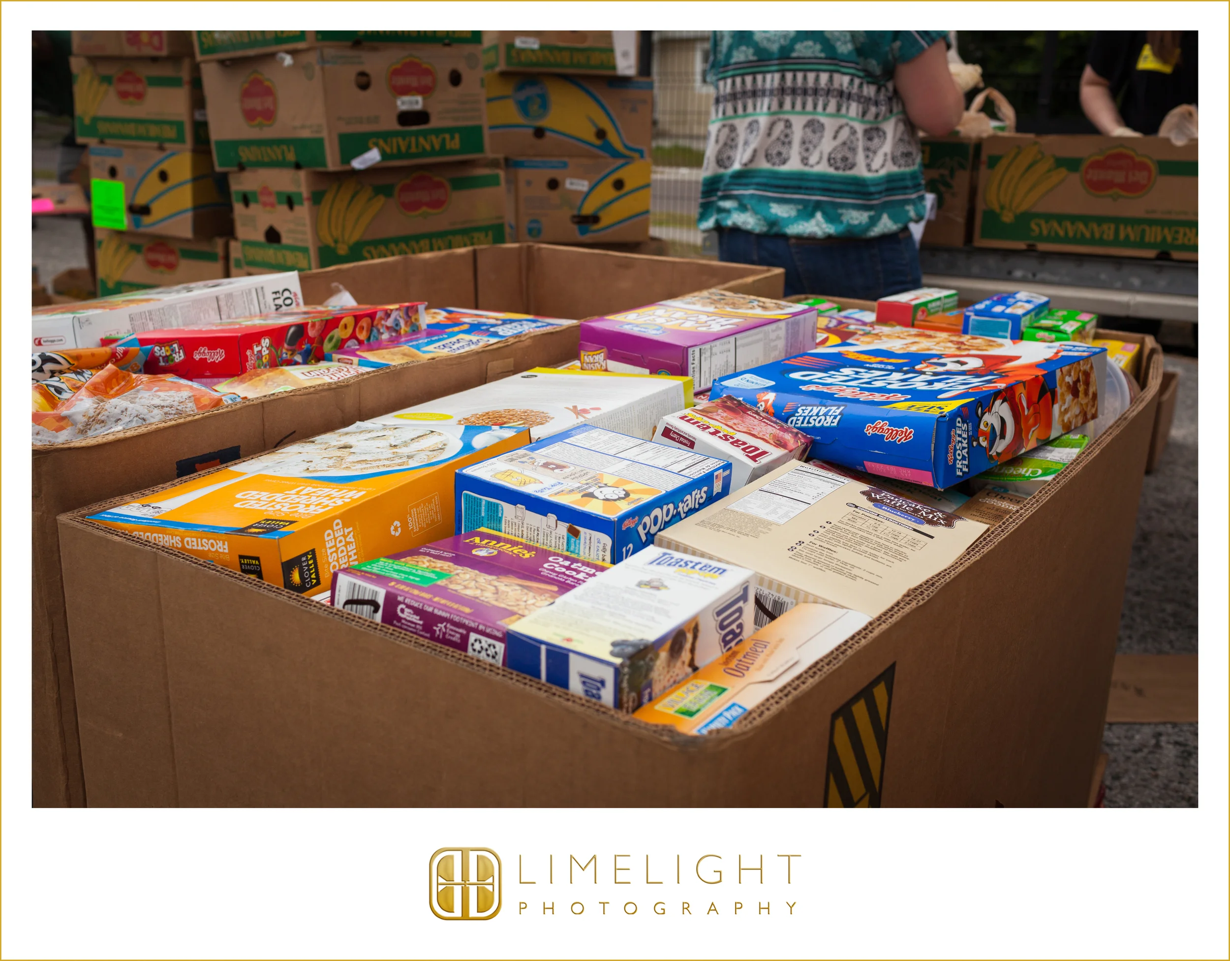 5.16.16FeedingTampaBayAL_0005.JPG
