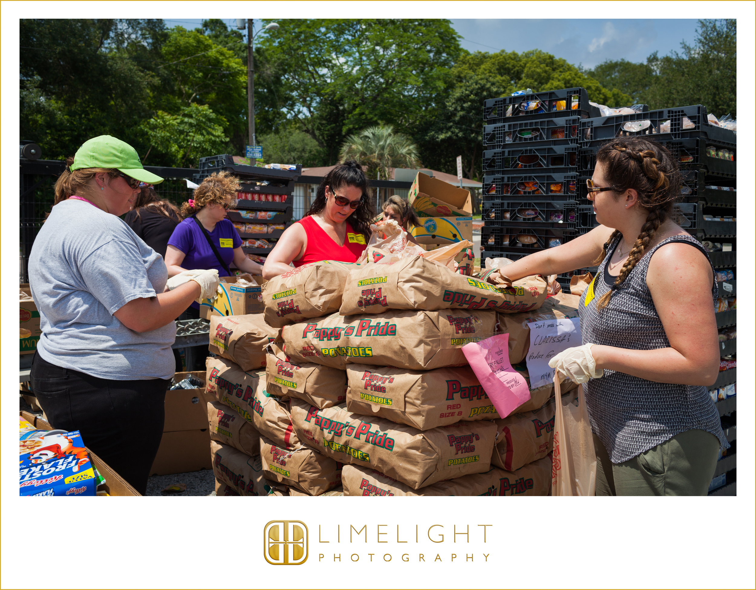5.16.16FeedingTampaBayAL_0007.JPG