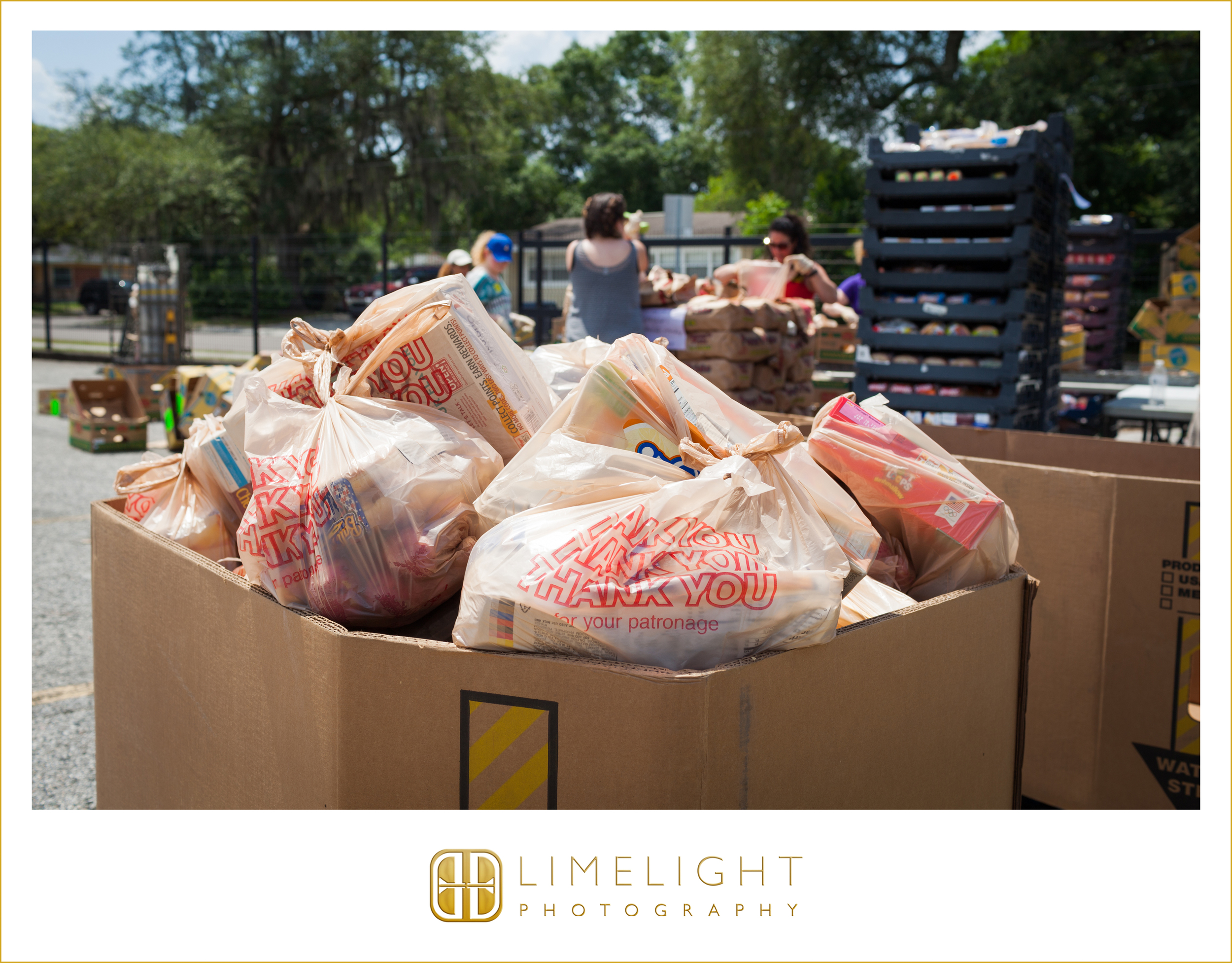 5.16.16FeedingTampaBayAL_0008.JPG