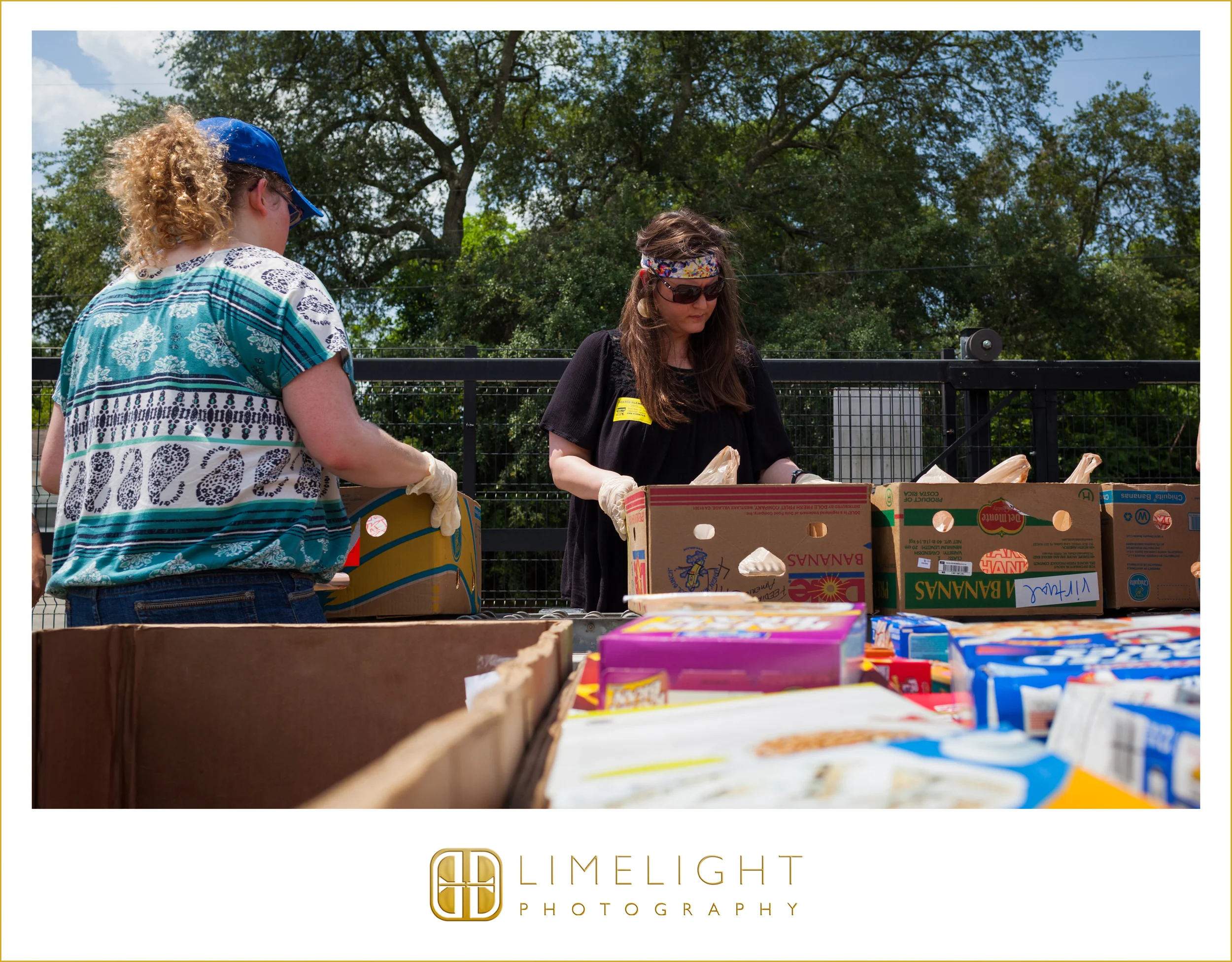 5.16.16FeedingTampaBayAL_0010.JPG