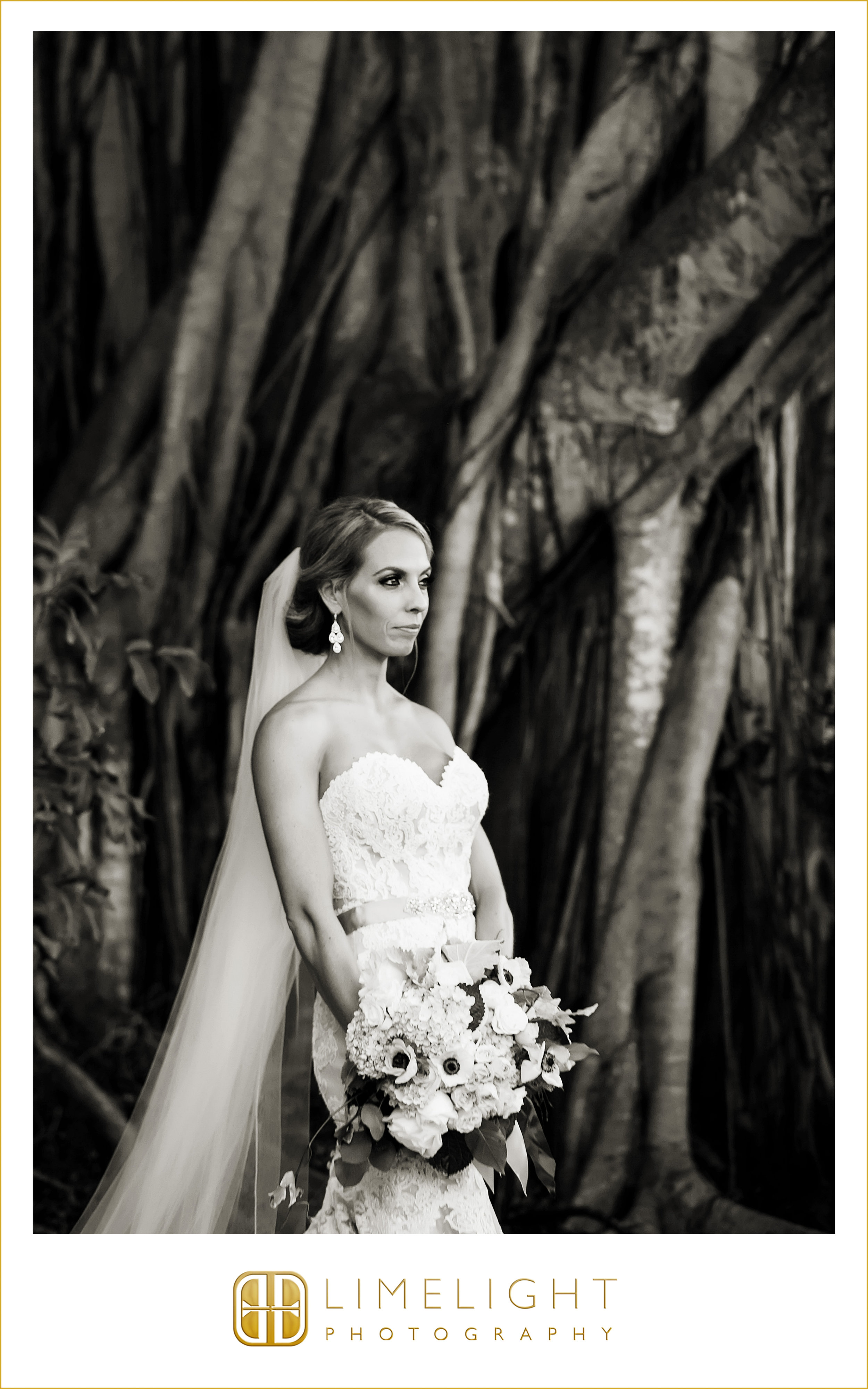 Portrait | Bride | Wedding 