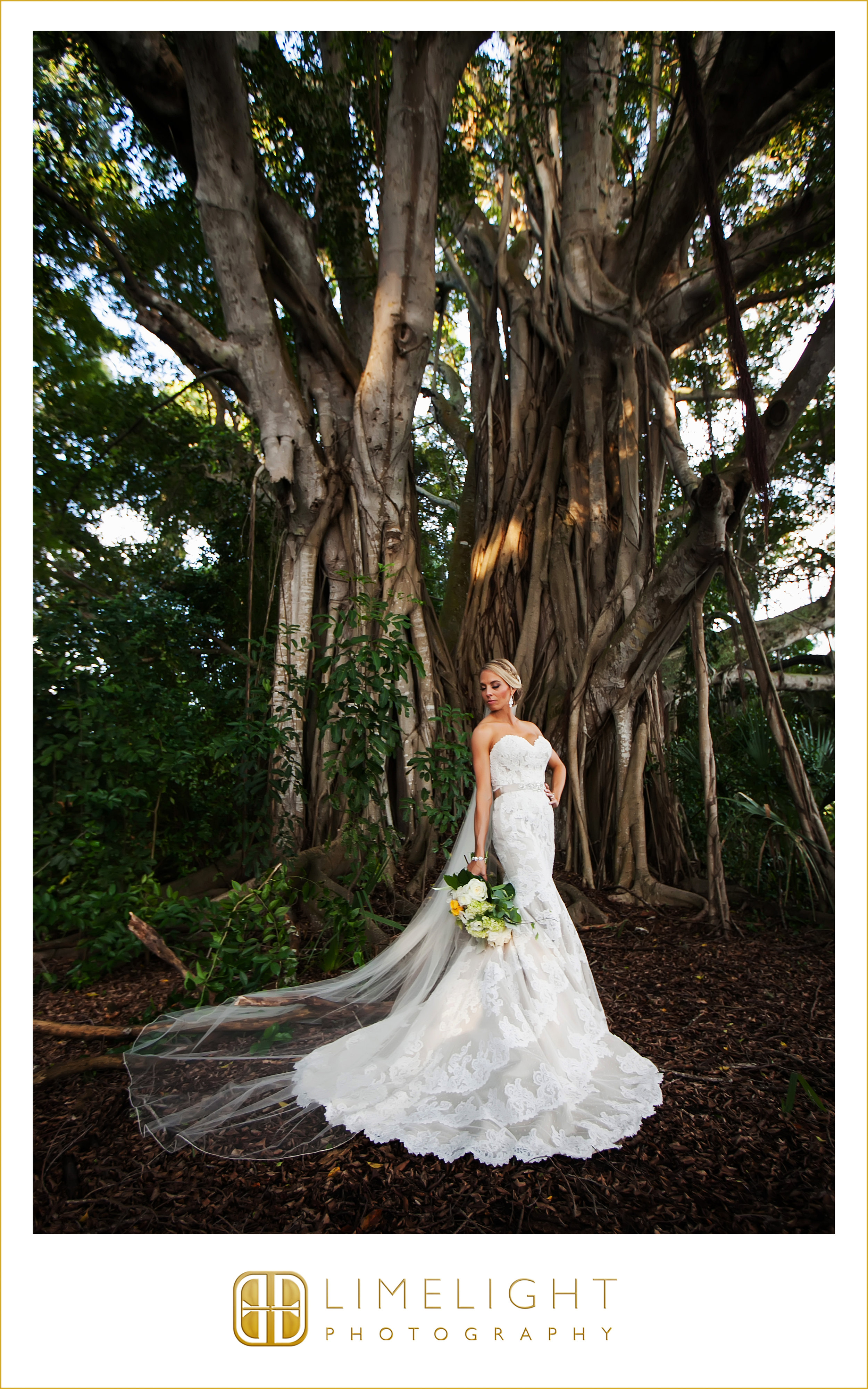 Portrait | Bride | Wedding 