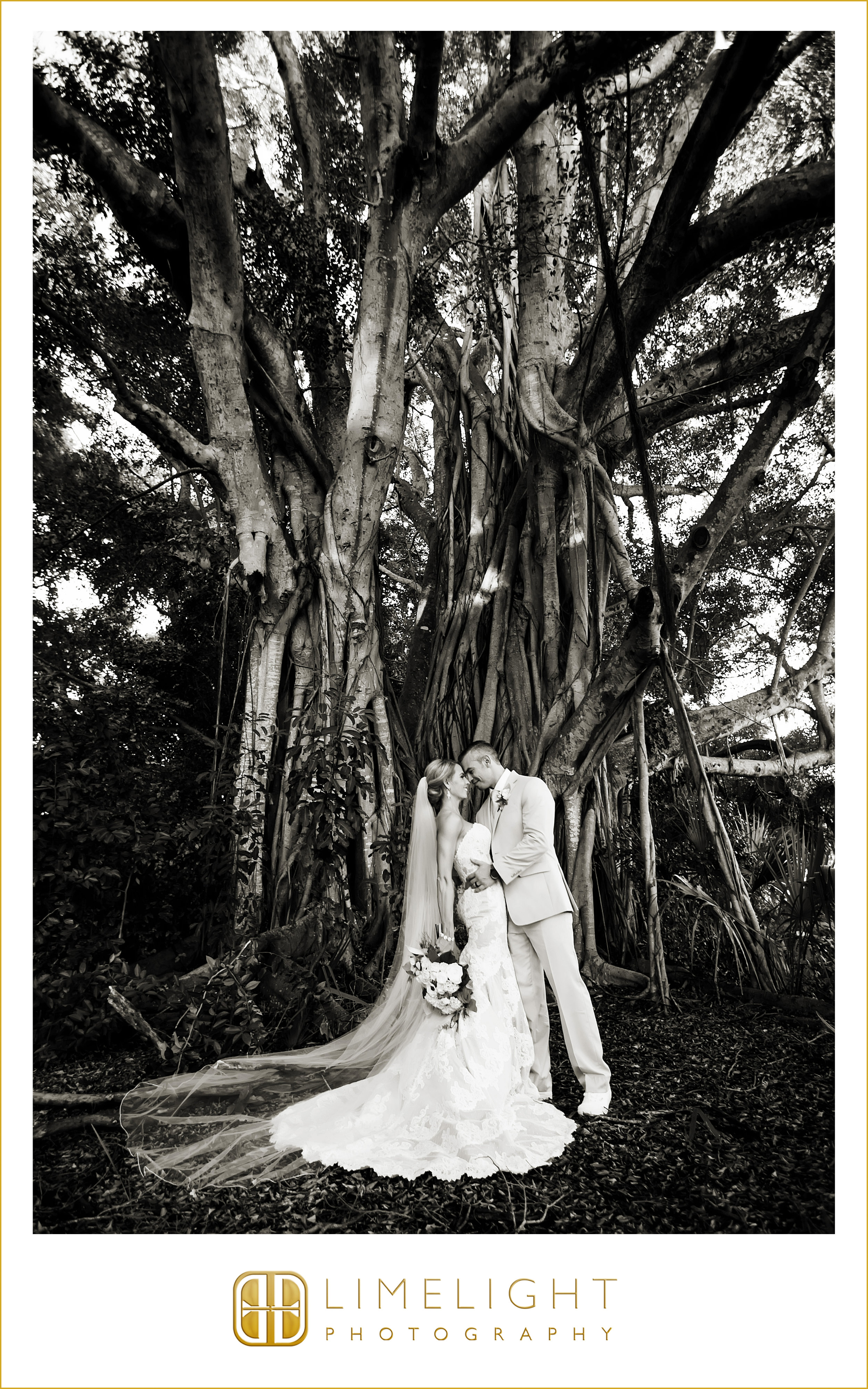 Portrait | Bride & Groom | Wedding