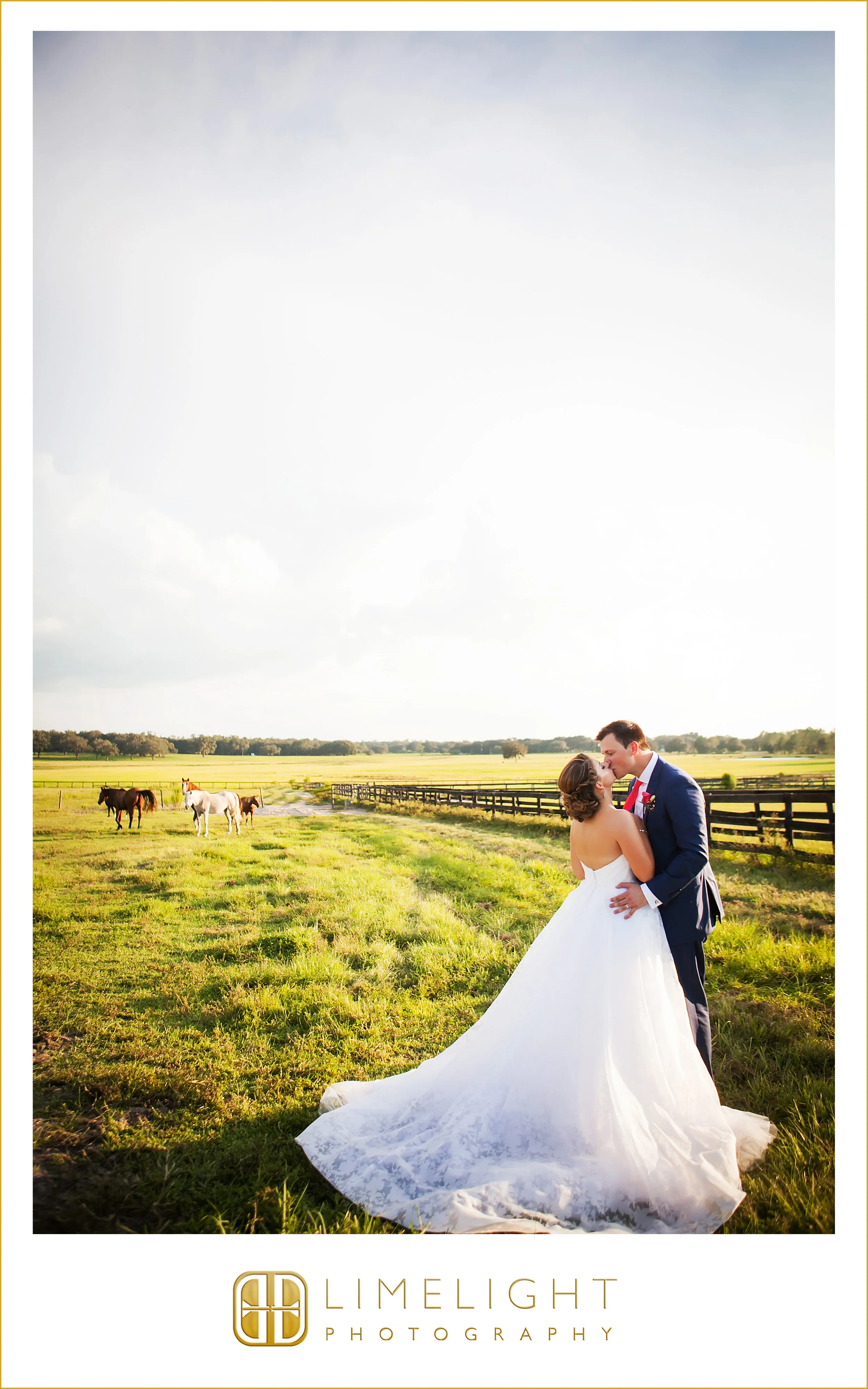 Portraits | Mr. & Mrs. | Wedding