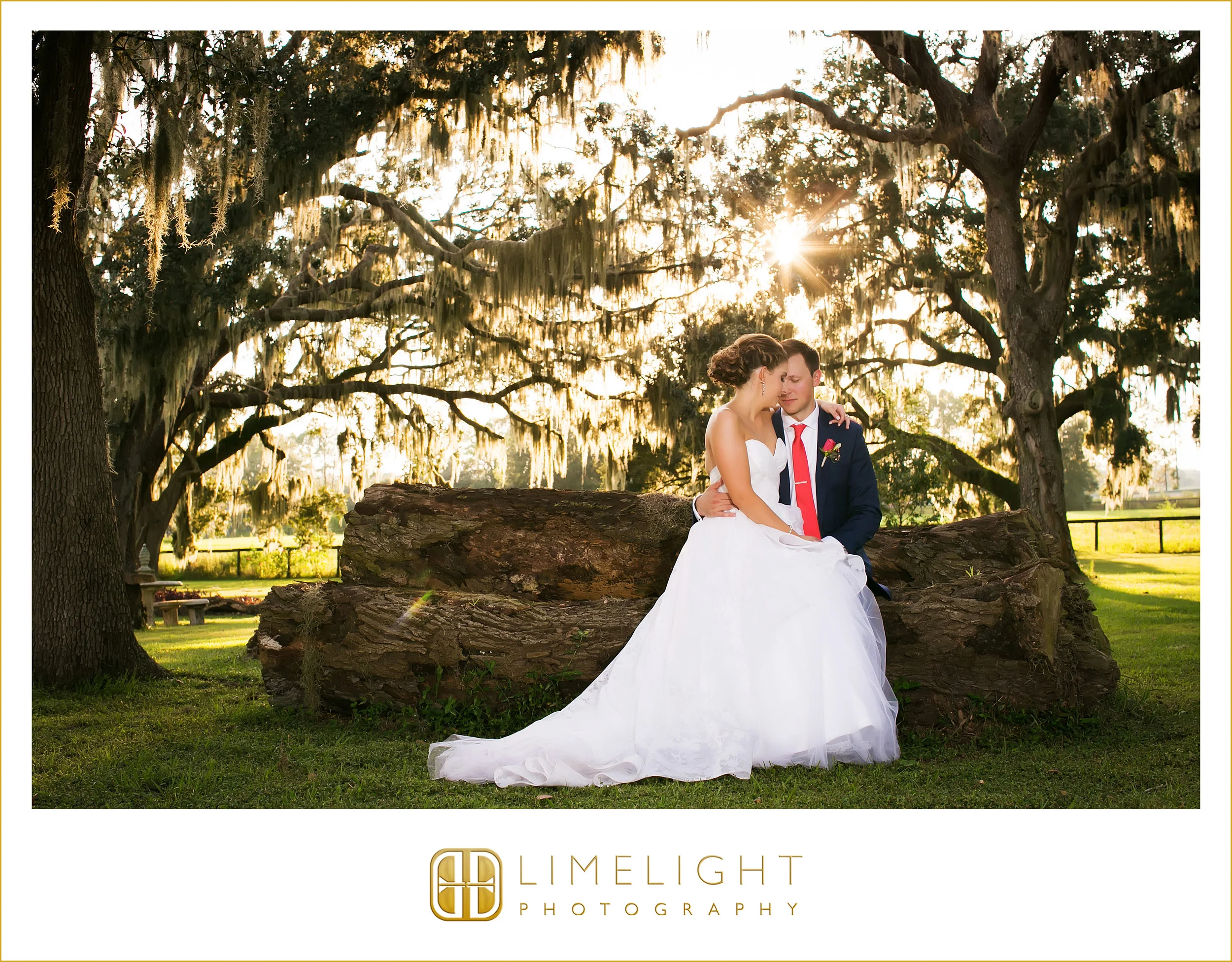Portraits | Mr. & Mrs. | Wedding