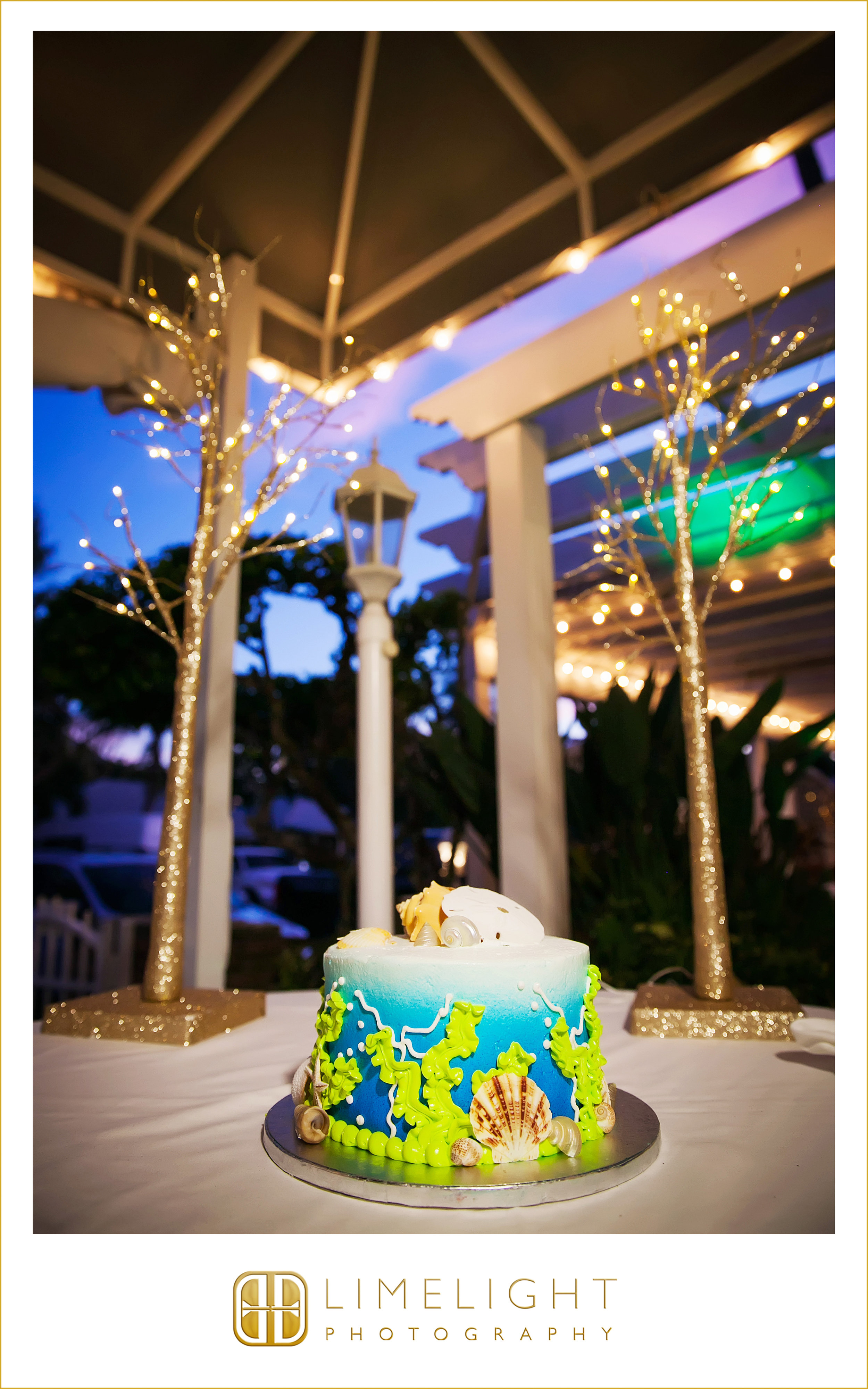 Cake | Reception | Wedding