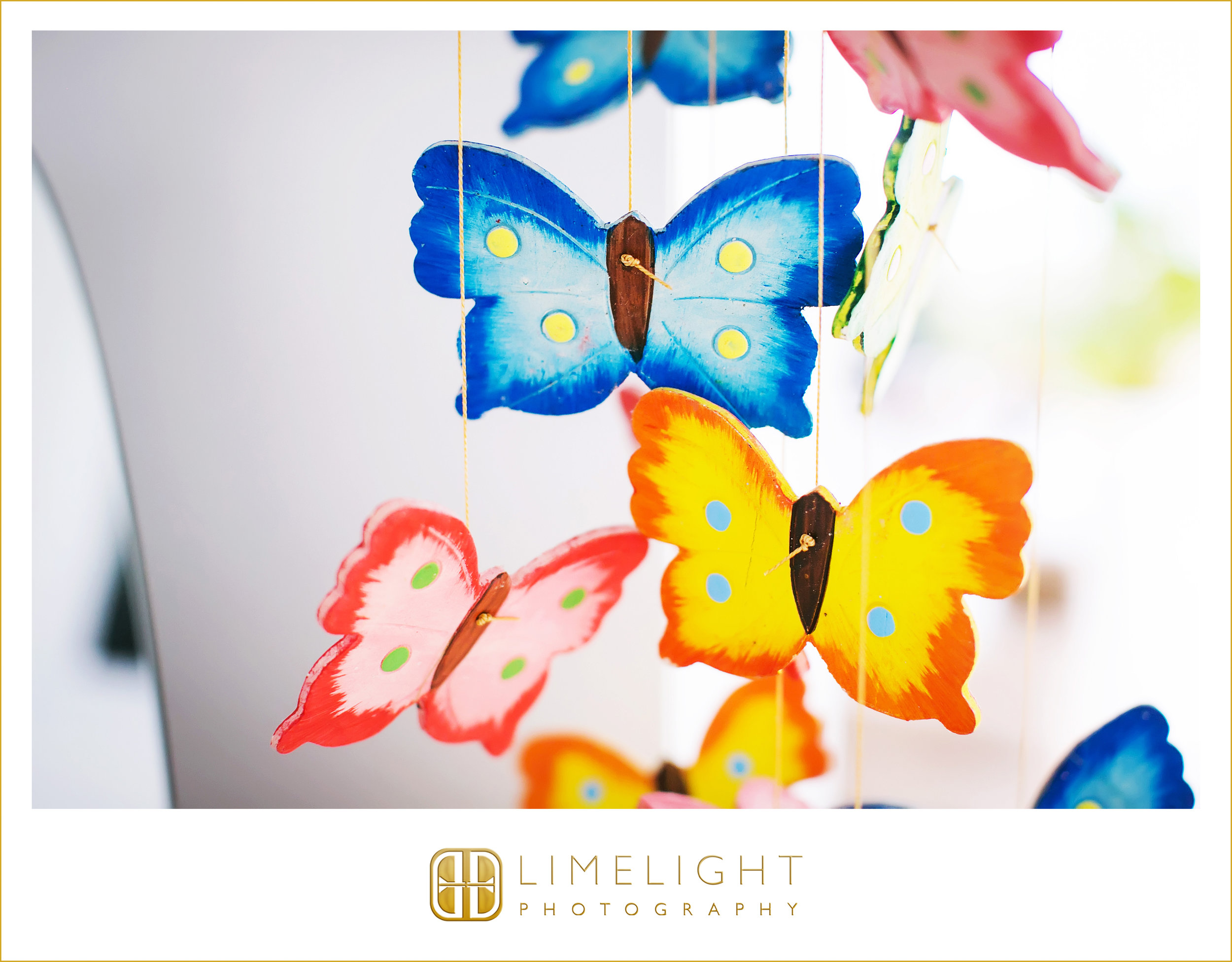 Butterflies | Decoration | Wedding