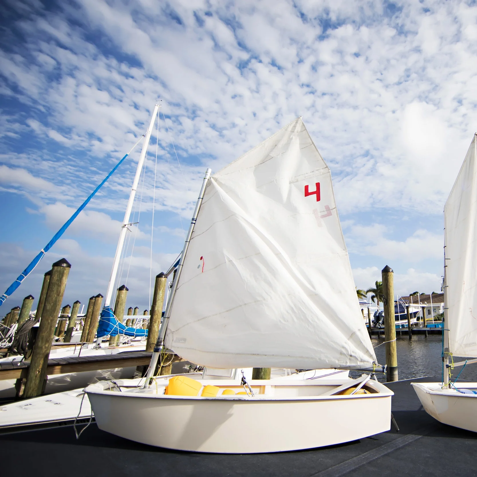 10.18.17TampaYachtClubSailRZ_0037.jpg