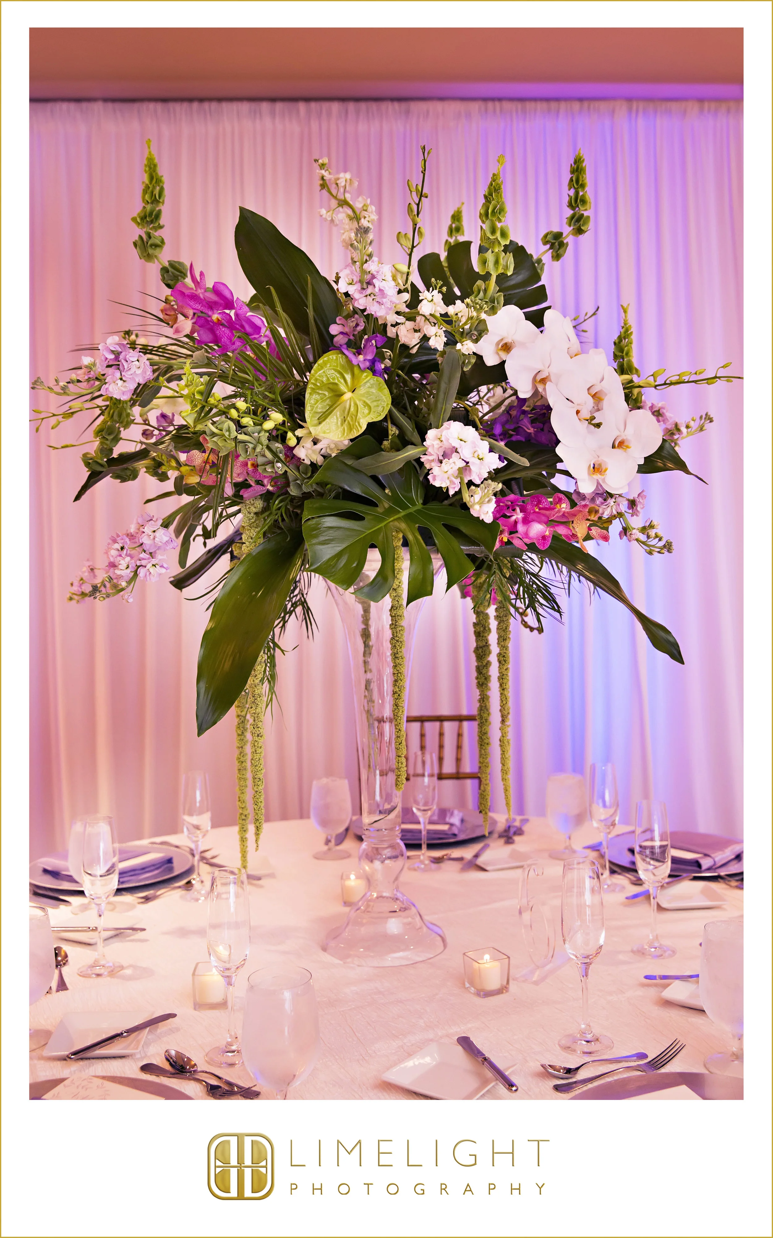 Featured 0039.jpg