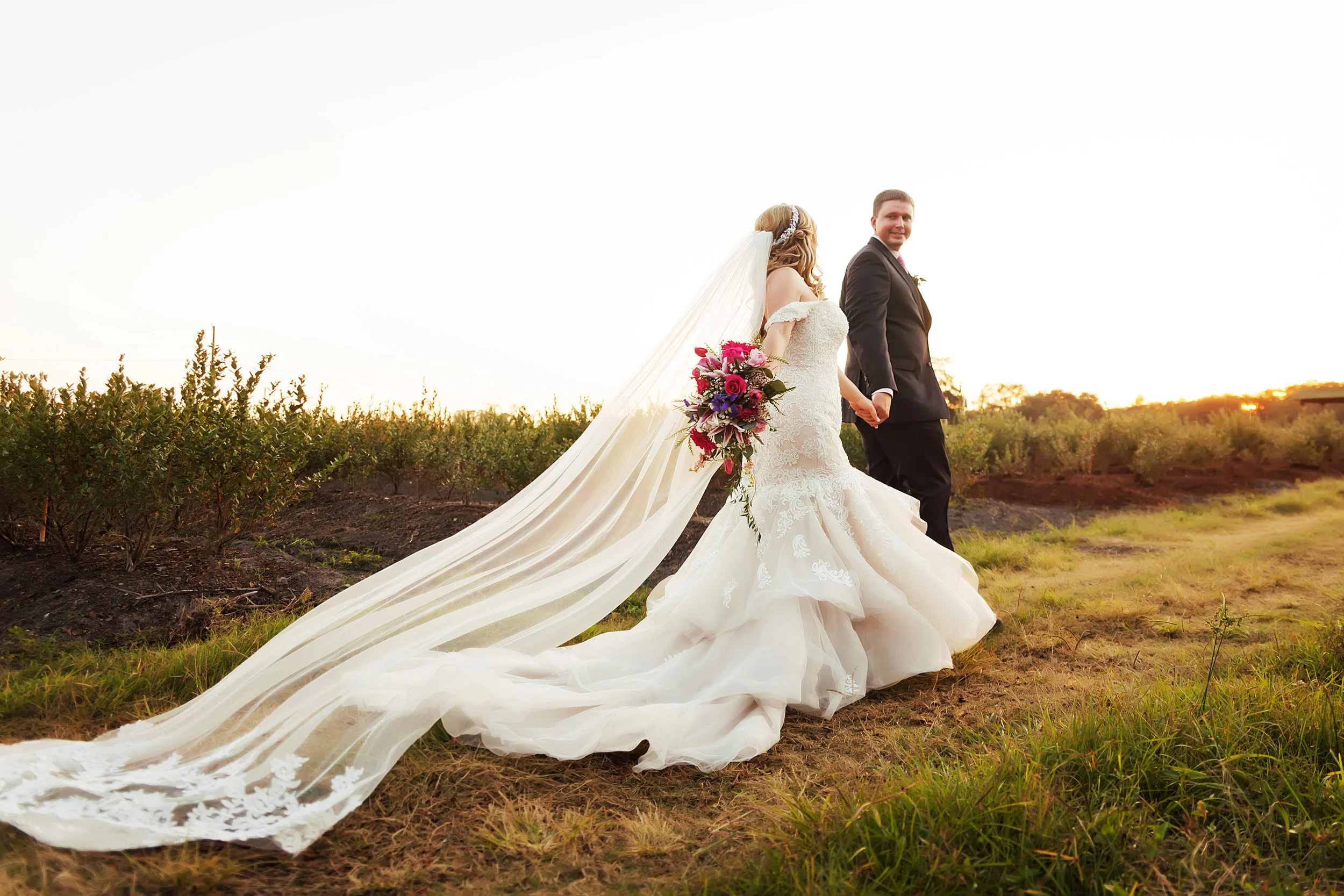 indigo harvest events, barn wedding, pink roses, romance, lace veil, flowing train wedding gown, wedding photography, limelight photography