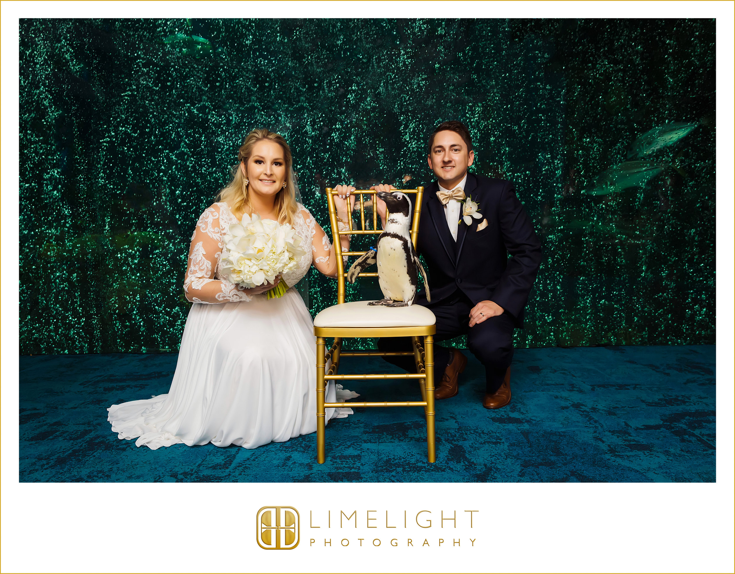 Portraits | Mr. &amp; Mrs. | Wedding