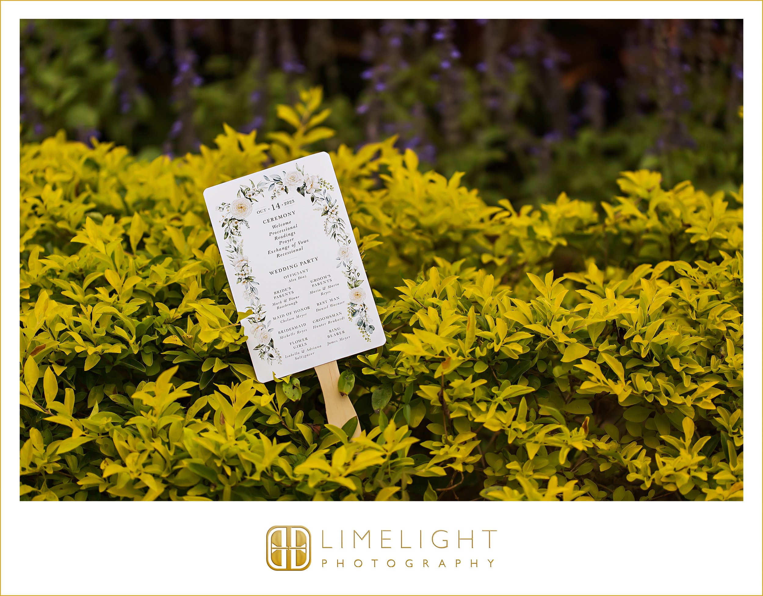 0039-limelight-photography-sunken-gardens-st-pete.jpg