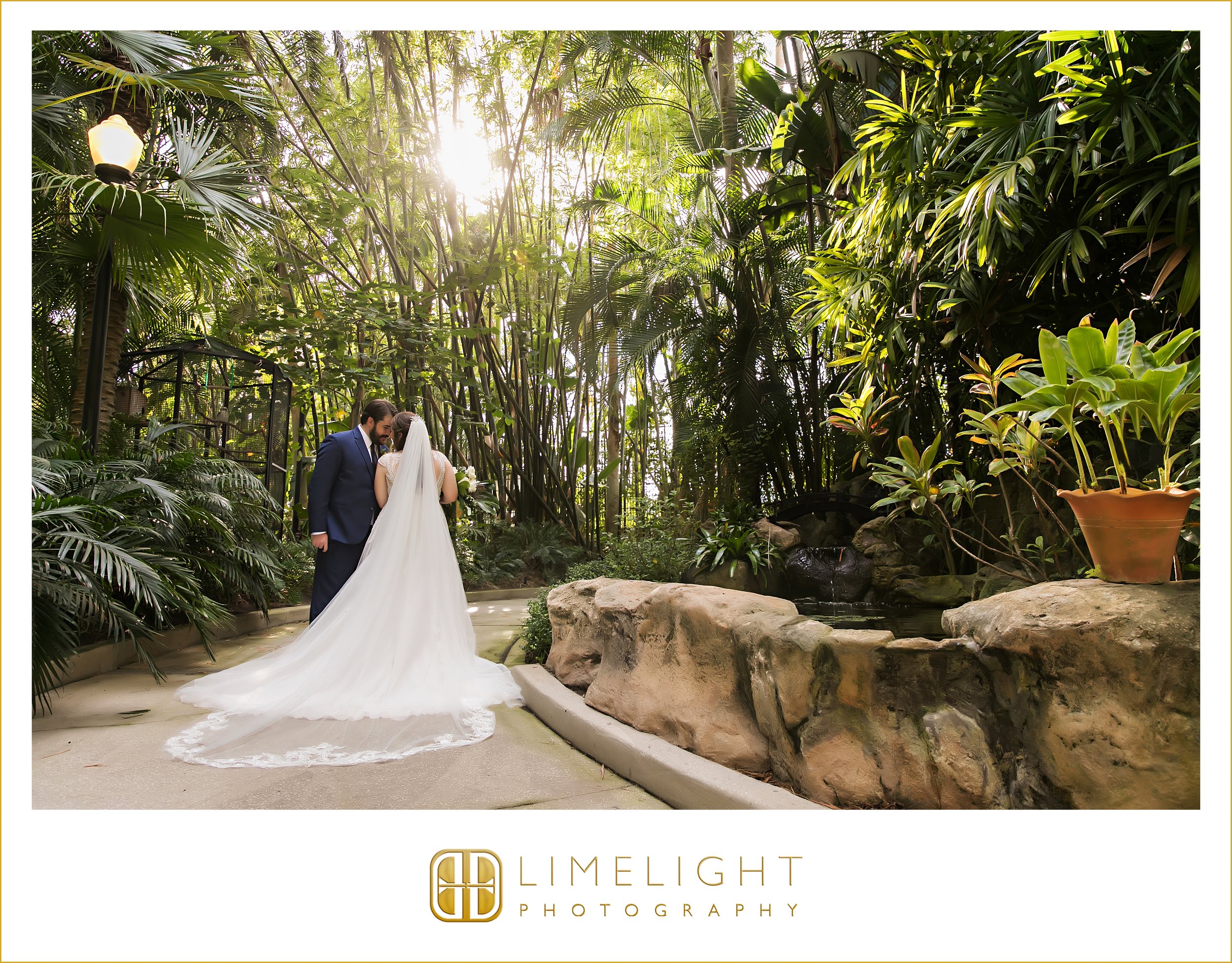 0038-limelight-photography-sunken-gardens-st-pete.jpg