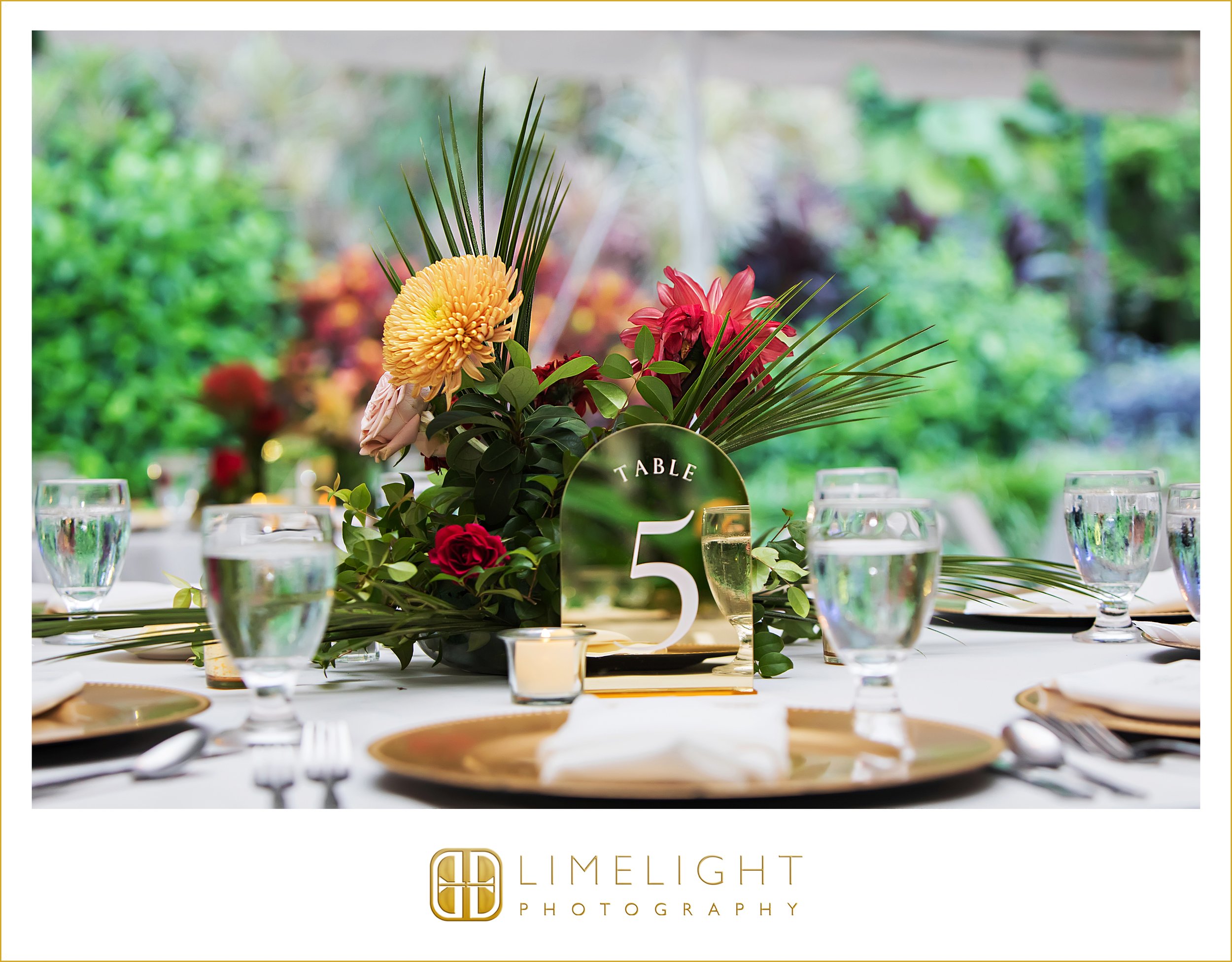 0050-limelight-photography-sunken-gardens-st-pete.jpg