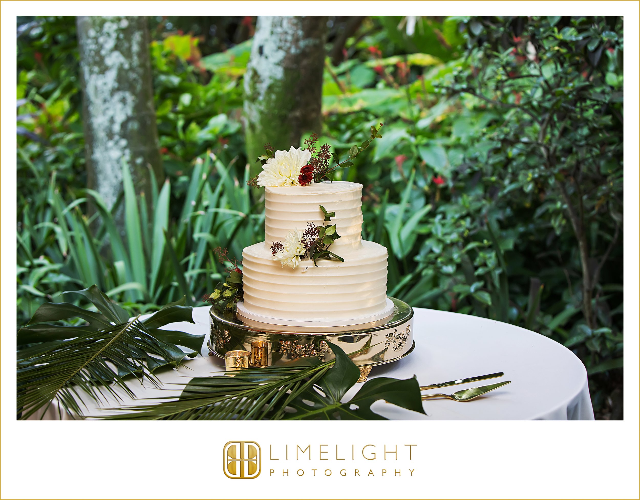 0051-limelight-photography-sunken-gardens-st-pete.jpg