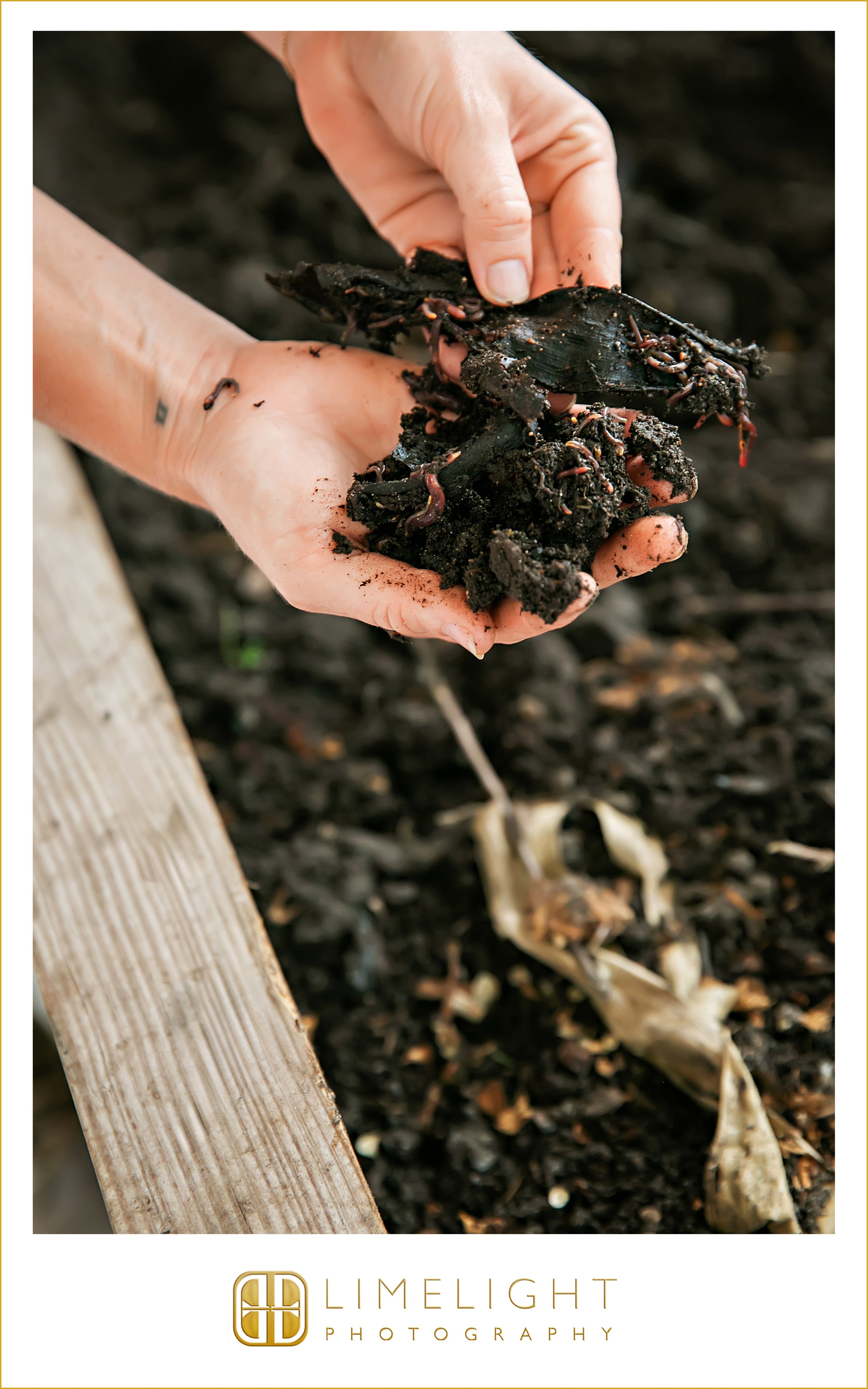 0020-wedding-photography-tampa-fl-fat-beet-farm.jpg