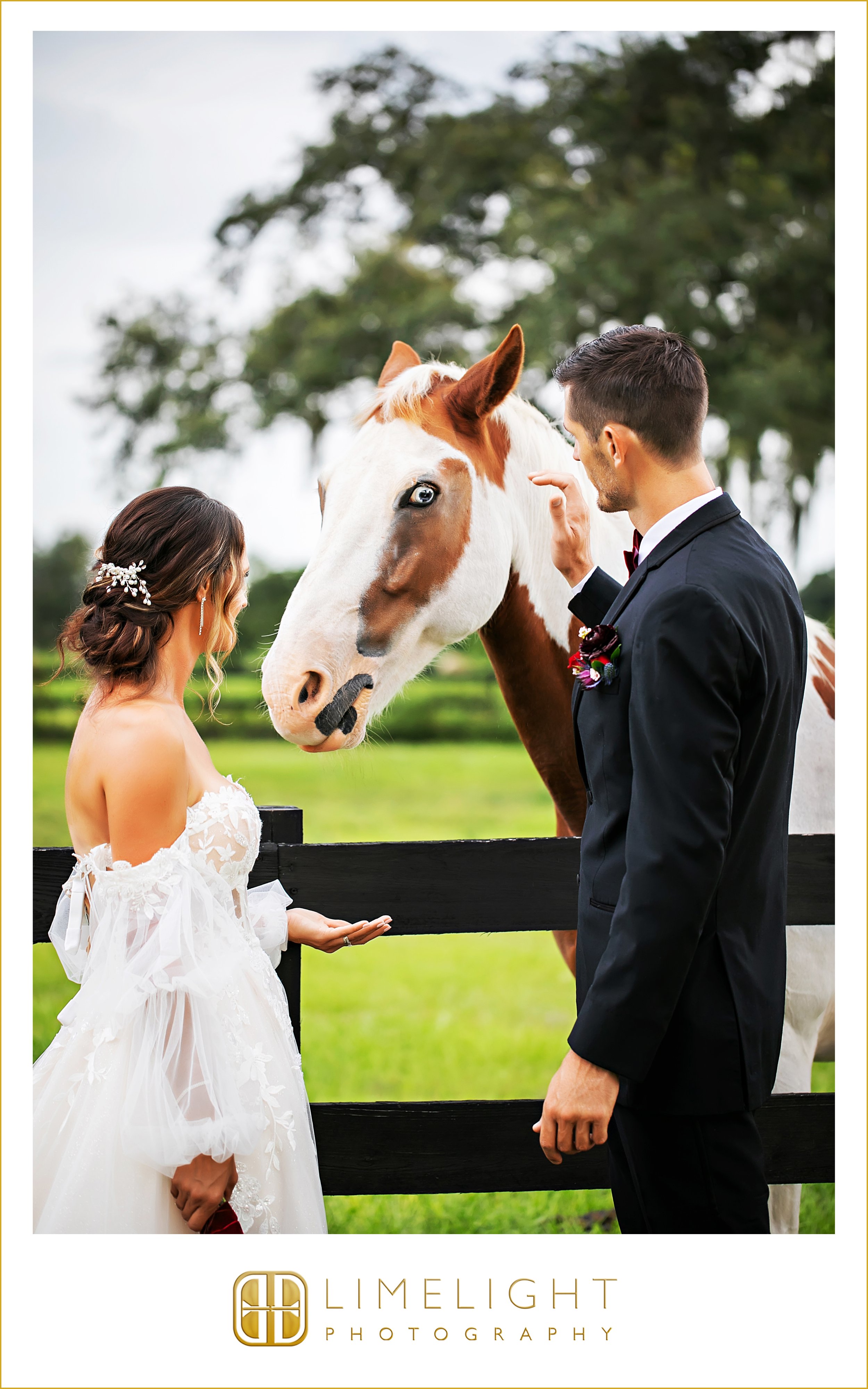 0038-wedding-photography-packages-legacy-lanes-brooksville-fl.jpg