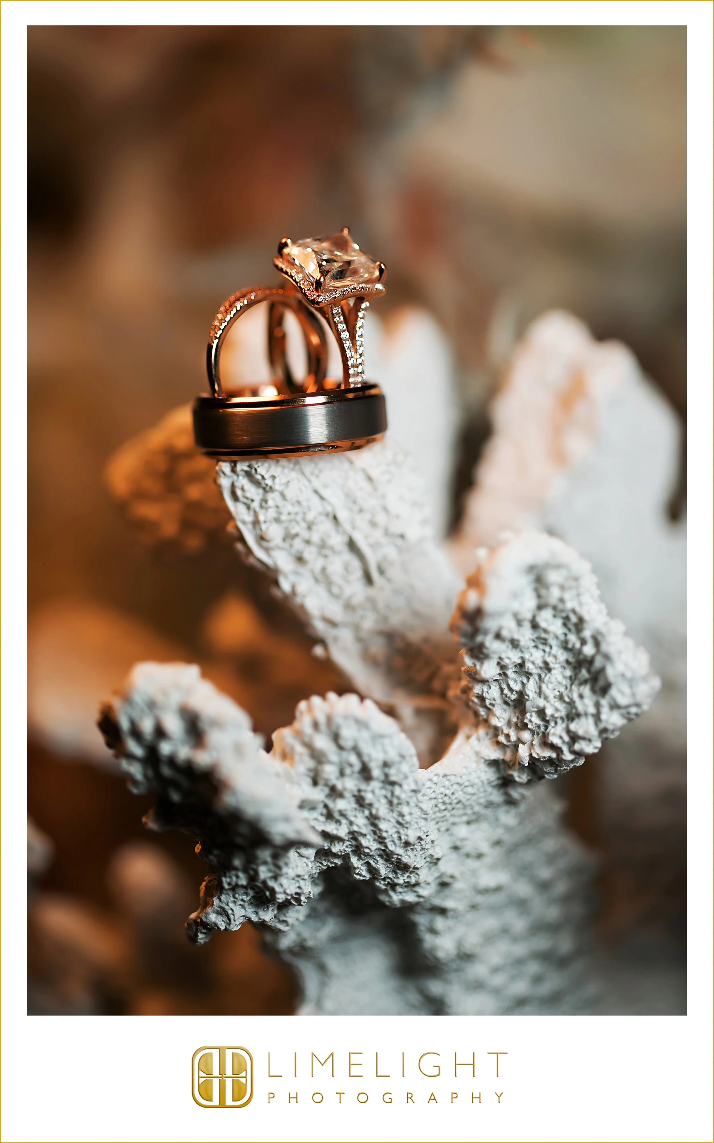 0071-wedding-photography-clearwater-opal-sands-resort.jpg