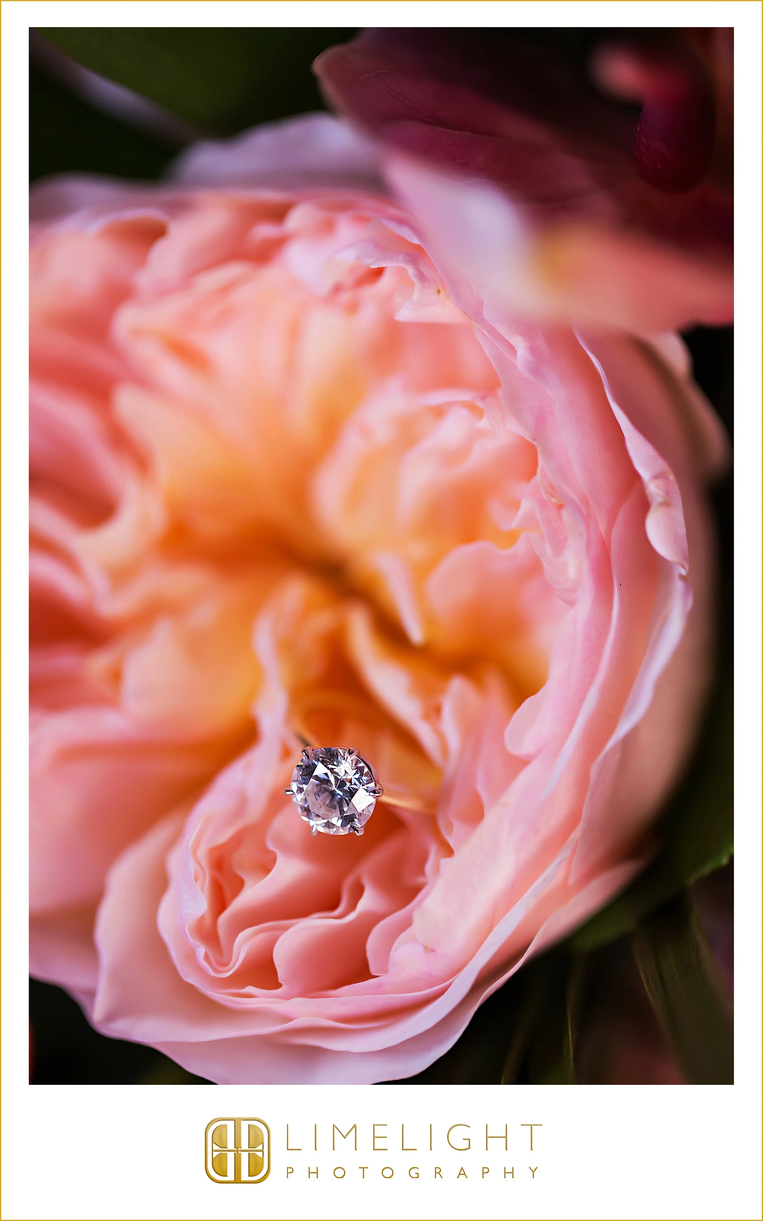 0060-Longboat-Key-Club-Resort-Weddings.jpg