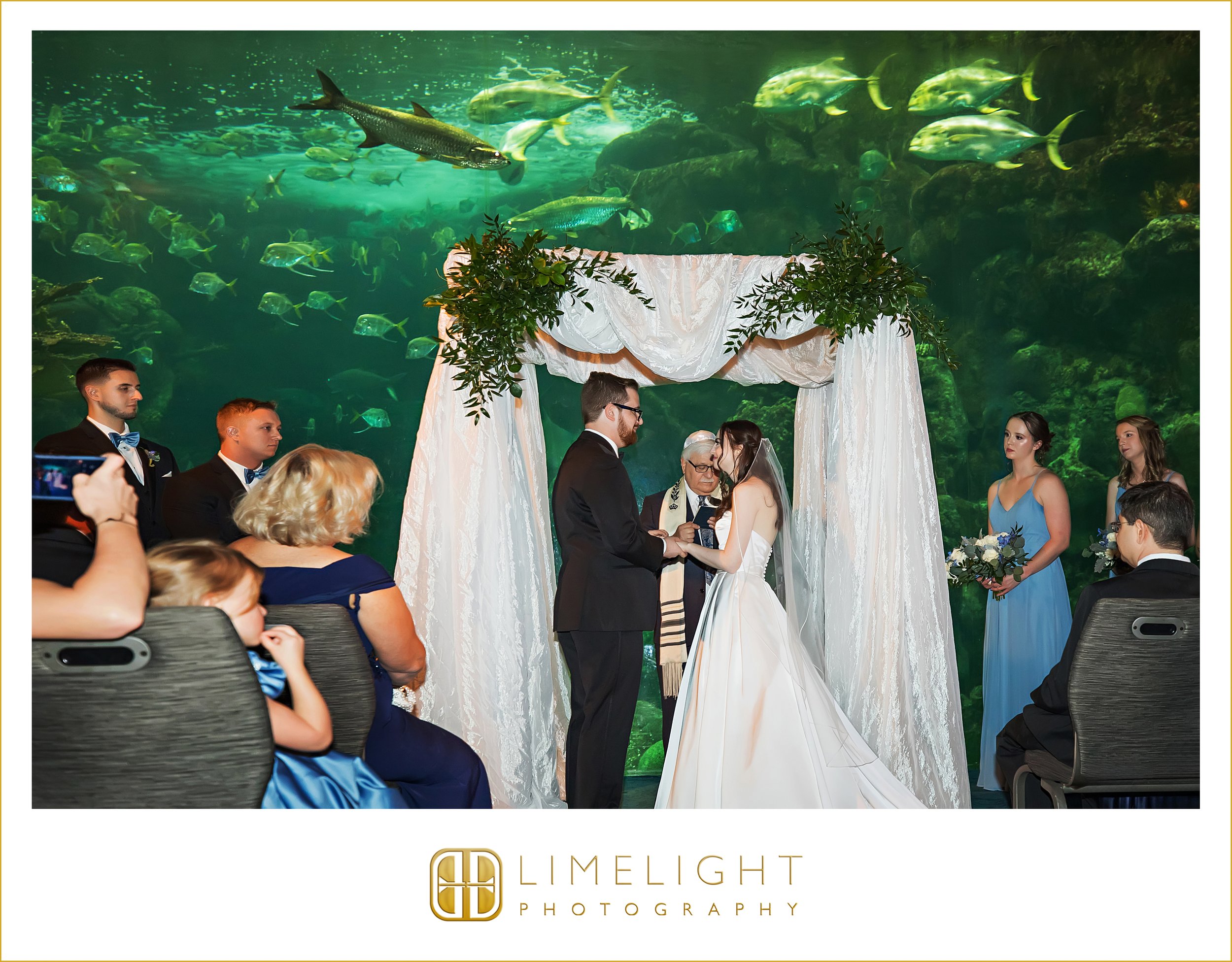 0033-The-Florida-Aquarium-Tampa-Wedding-Photographer.jpg