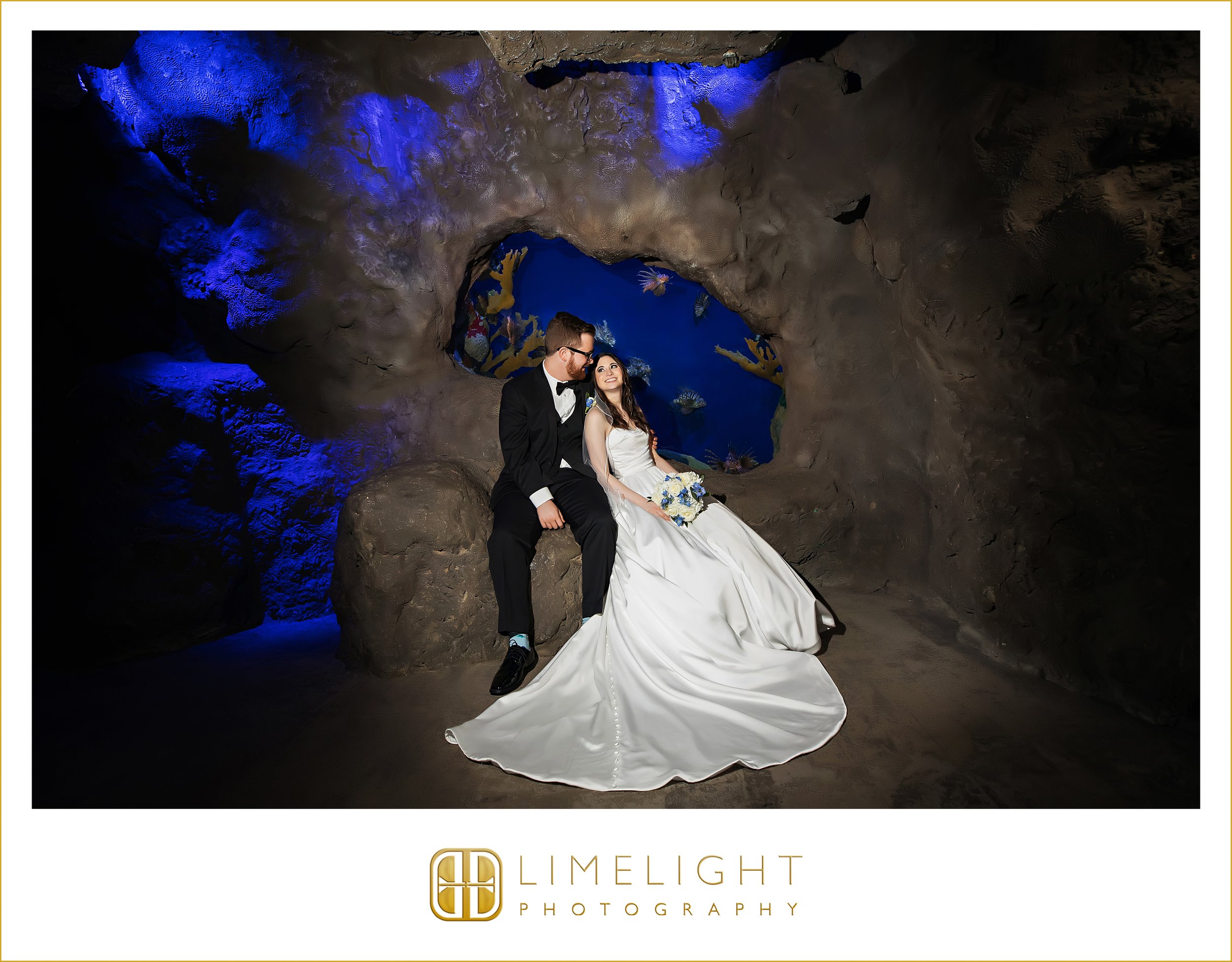 0036-The-Florida-Aquarium-Tampa-Wedding-Photographer.jpg