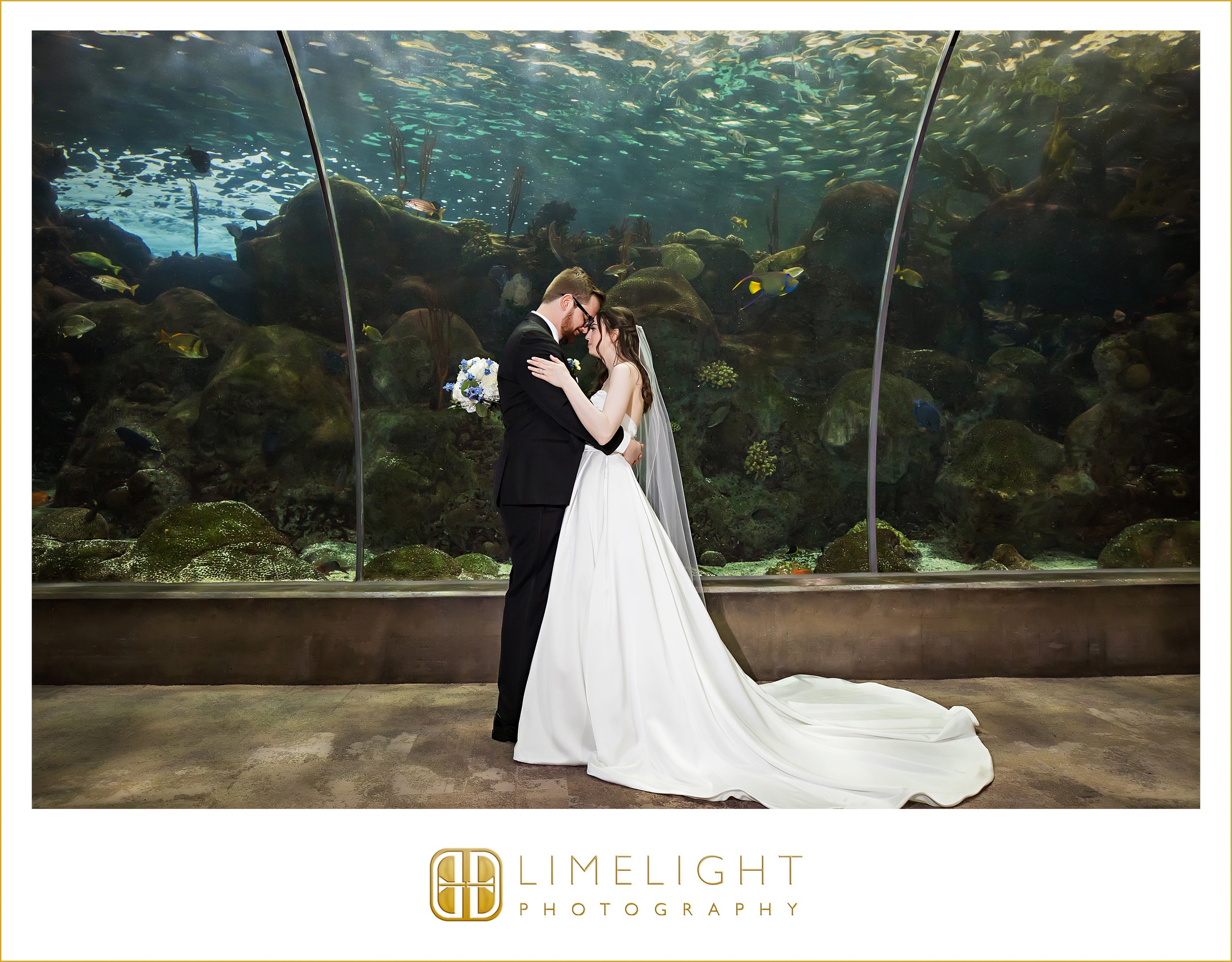 0039-The-Florida-Aquarium-Tampa-Wedding-Photographer.jpg