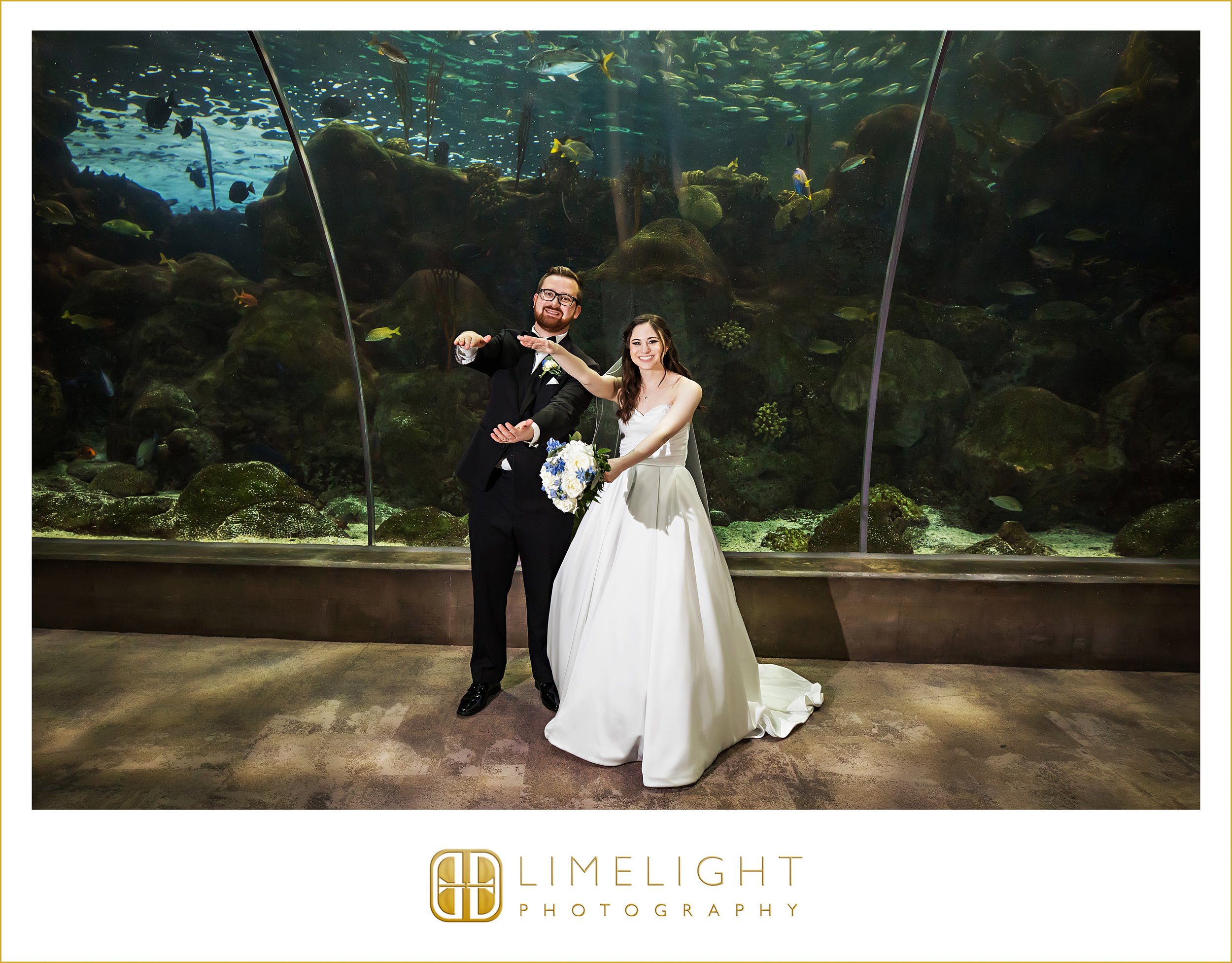 0041-The-Florida-Aquarium-Tampa-Wedding-Photographer.jpg