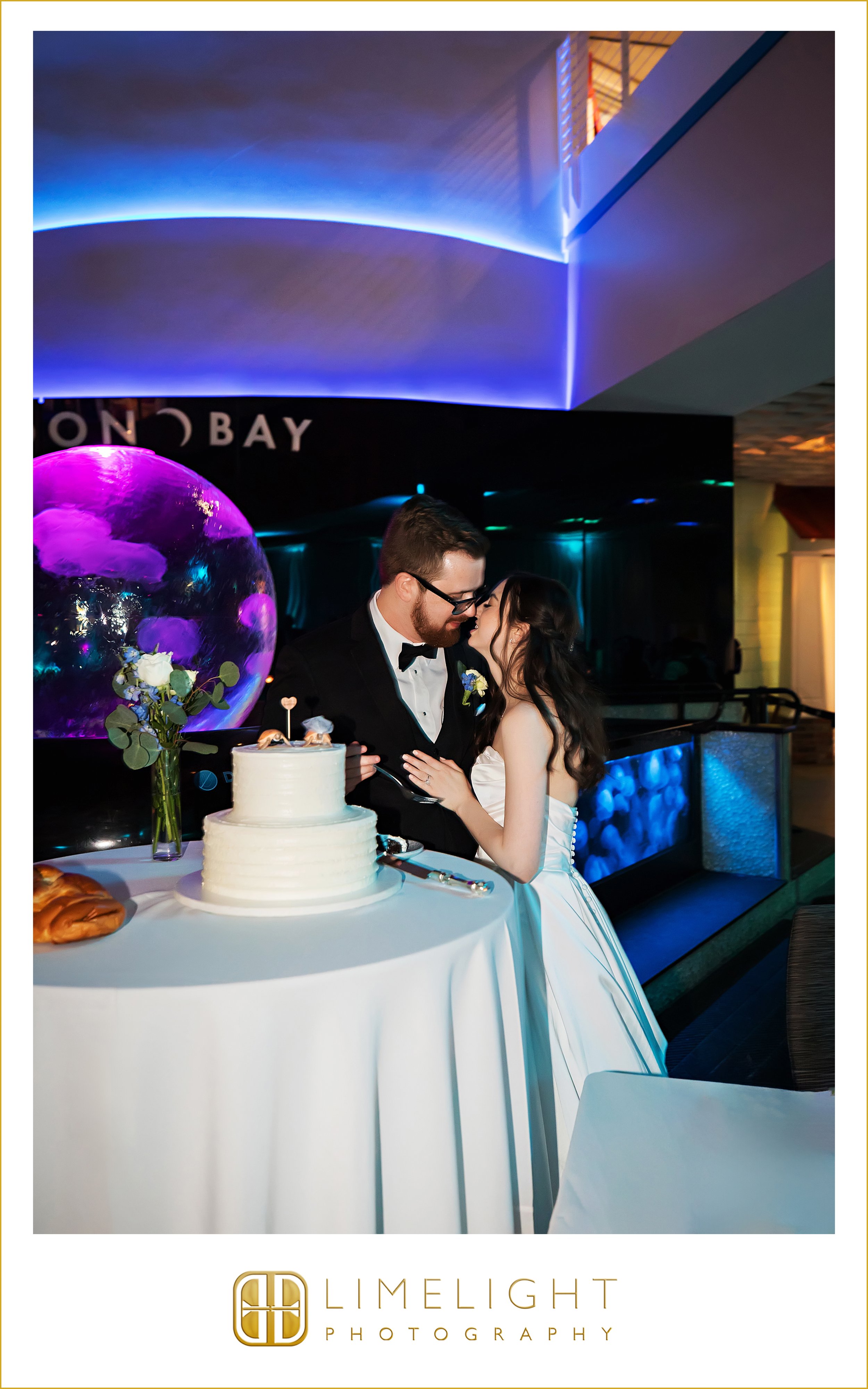 0049-The-Florida-Aquarium-Tampa-Wedding-Photographer.jpg