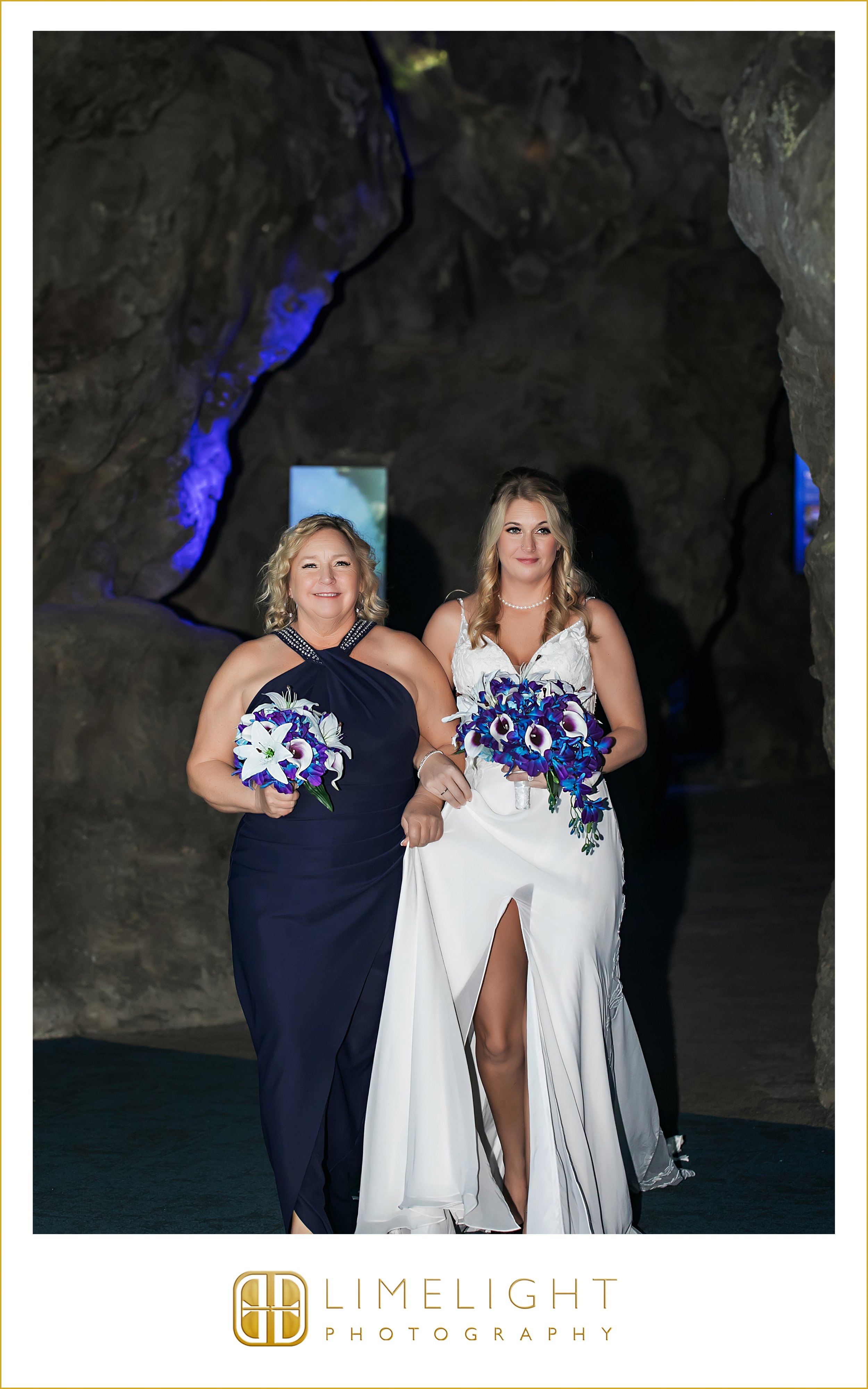 0006-The-Florida-Aquarium-Tampa-Wedding-Photography.jpg