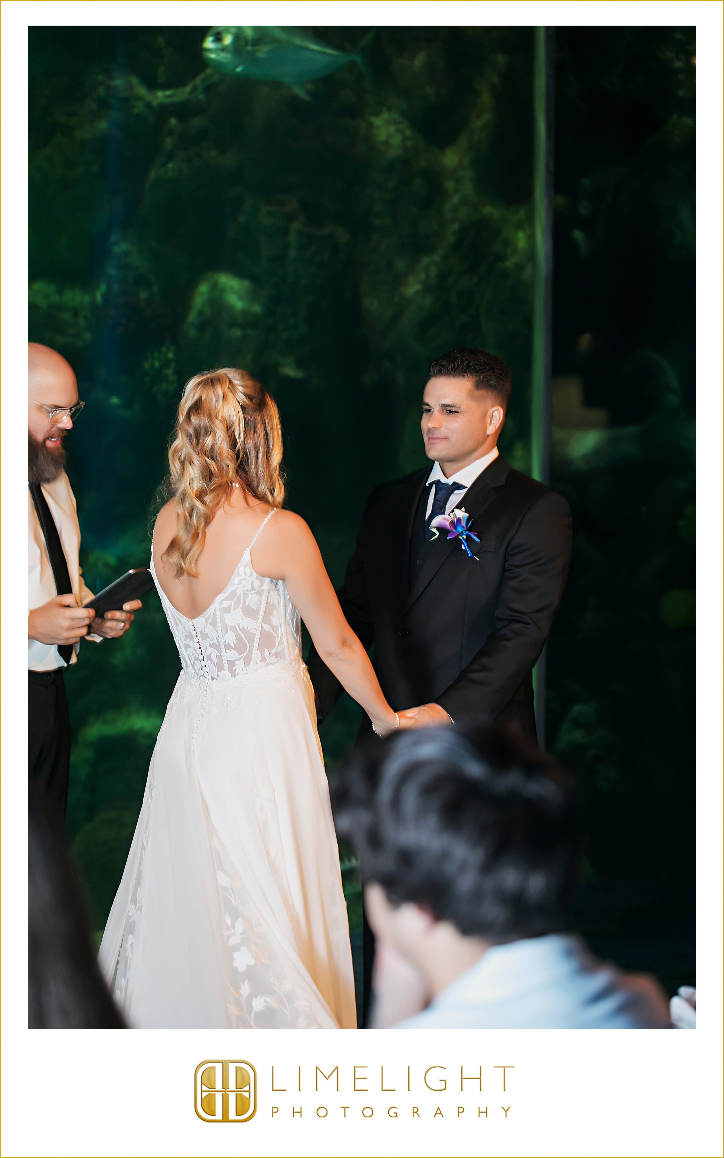 0011-The-Florida-Aquarium-Tampa-Wedding-Photography.jpg