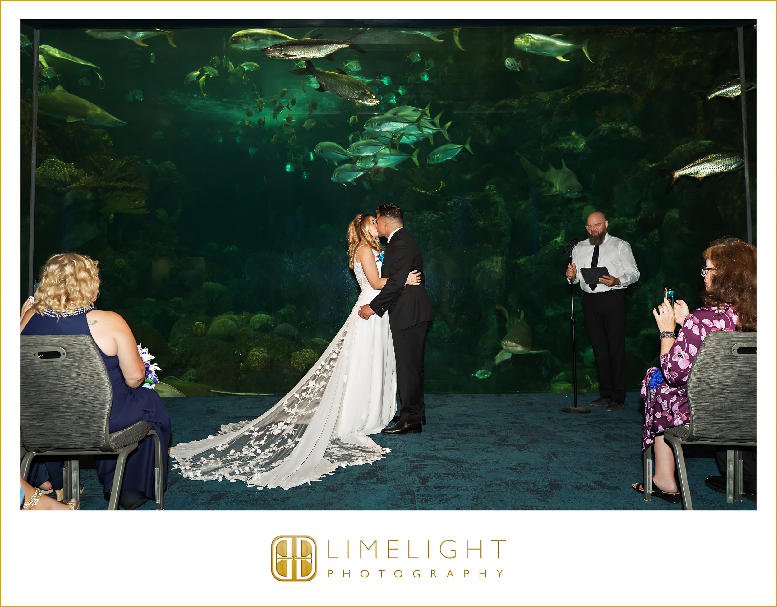 0012-The-Florida-Aquarium-Tampa-Wedding-Photography.jpg